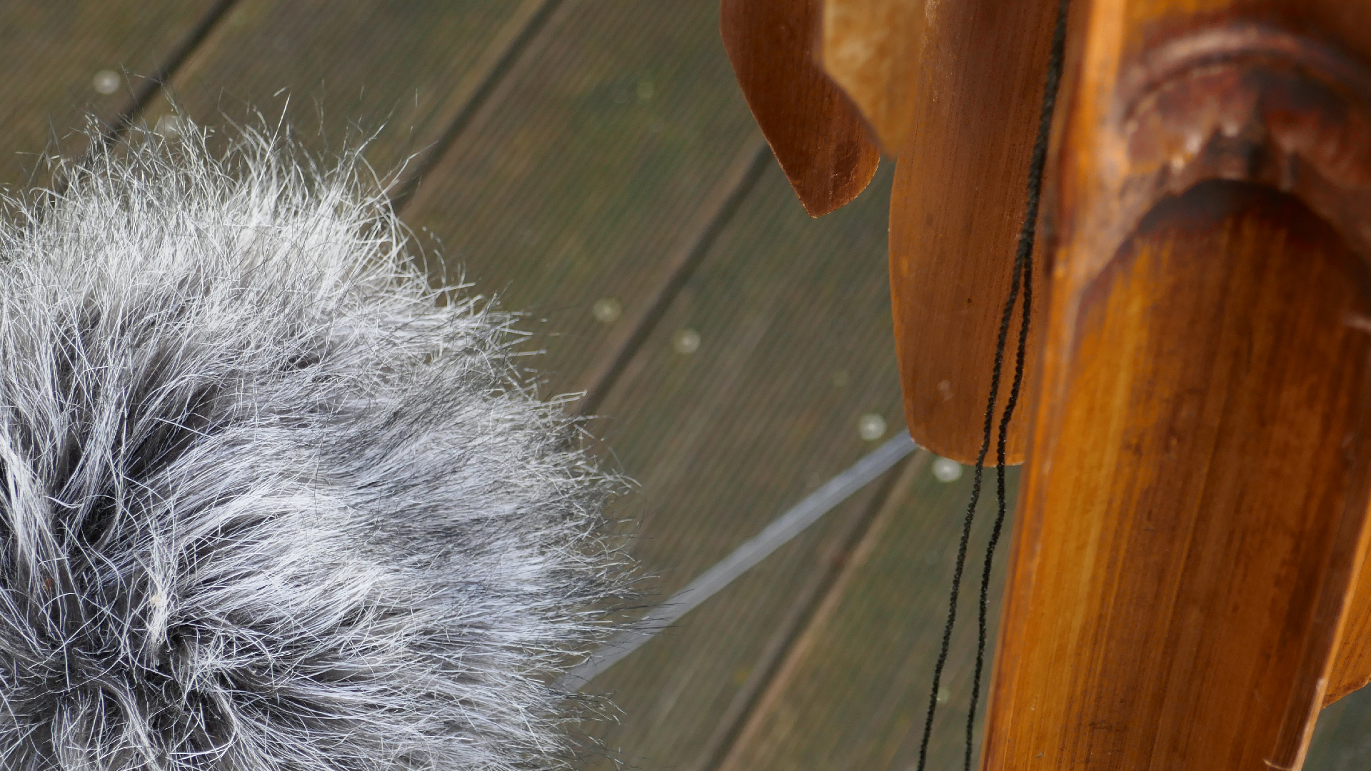 2022-01-03 Das Kleine Regen Rhythmus Orchester (Special Guest: Woodwinds) (Audio, Video)