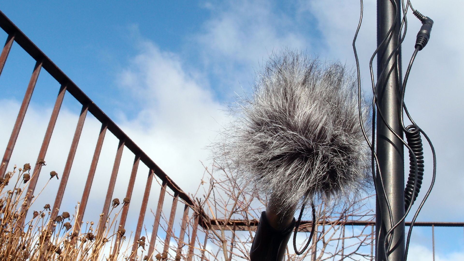 2022-01-28 Das Kleine Regen Rhythmus Orchester (Special Guest: Woodwinds III) (aufm Dach) (Audio, Video)