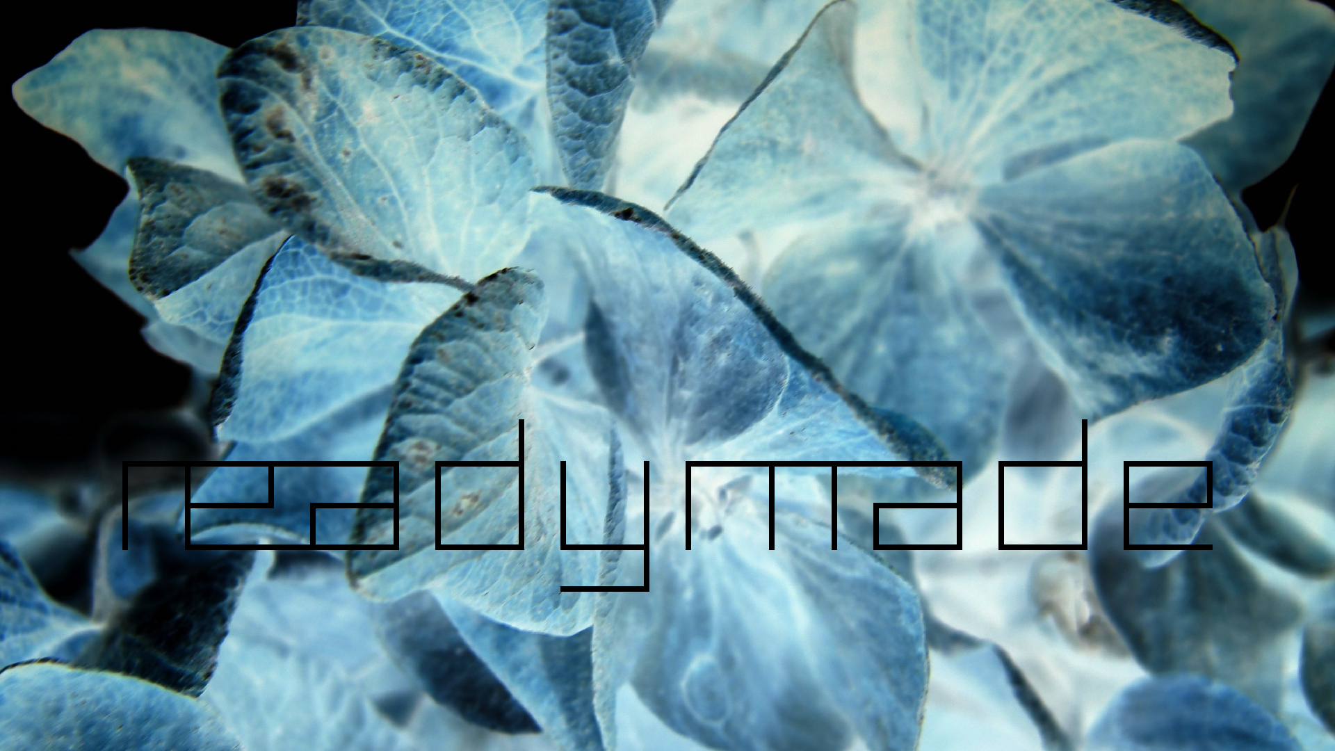 2022-01-28 Das Kleine Regen Rhythmus Orchester (Special Guest: Woodwinds III) (aufm Dach) (Audio, Video)