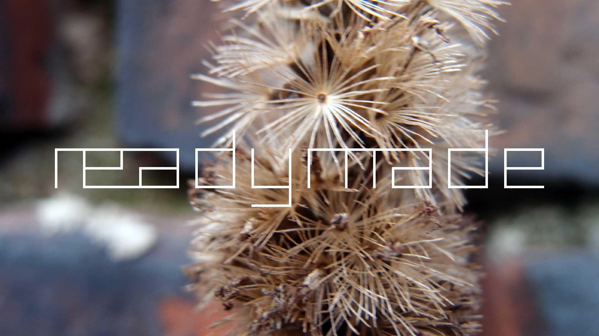 2022-01-28 Das Kleine Regen Rhythmus Orchester (Special Guest: Woodwinds III) (aufm Dach) (Audio, Video)
