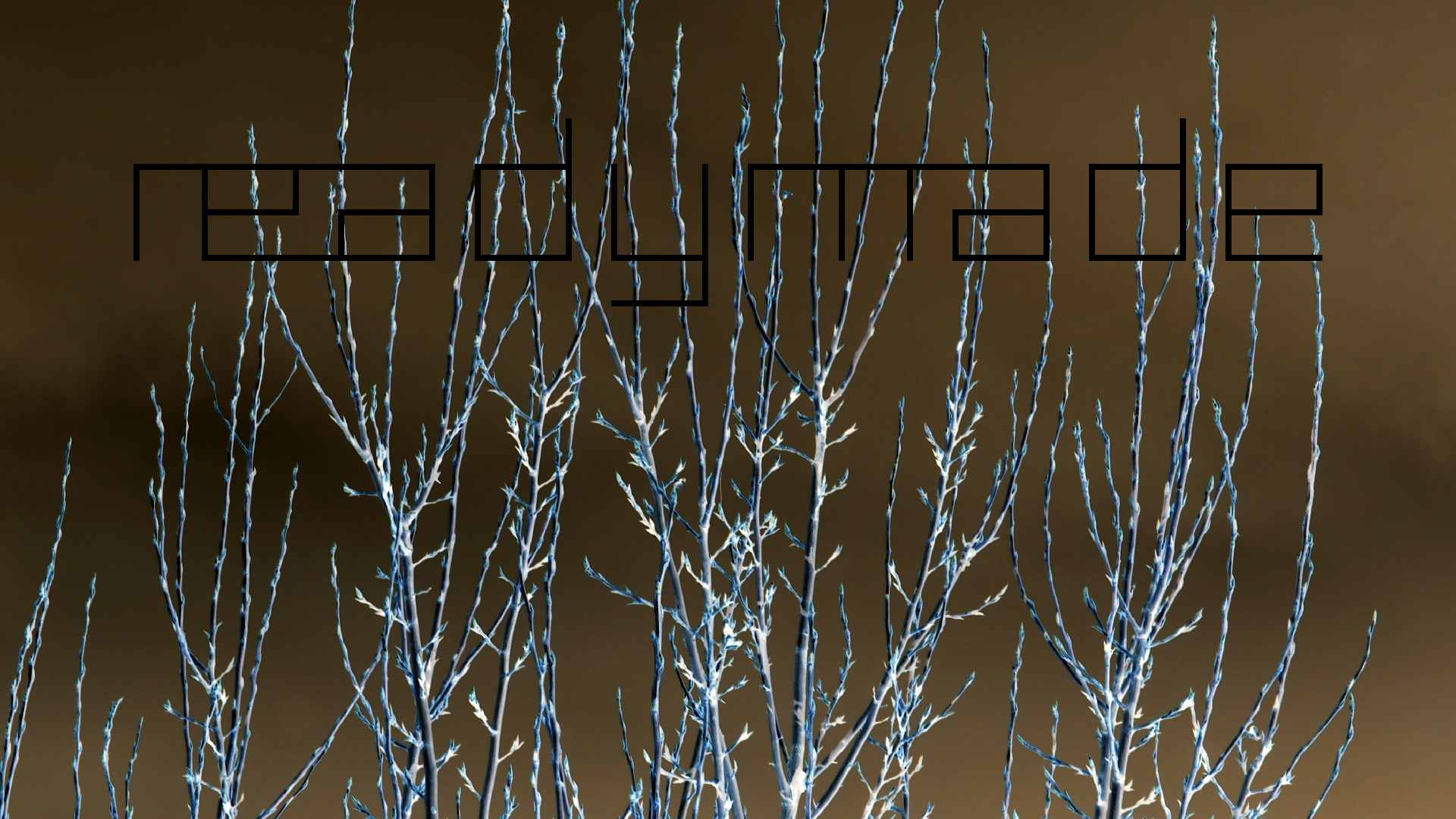 2022-01-28 Das Kleine Regen Rhythmus Orchester (Special Guest: Woodwinds III) (aufm Dach) (Audio, Video)