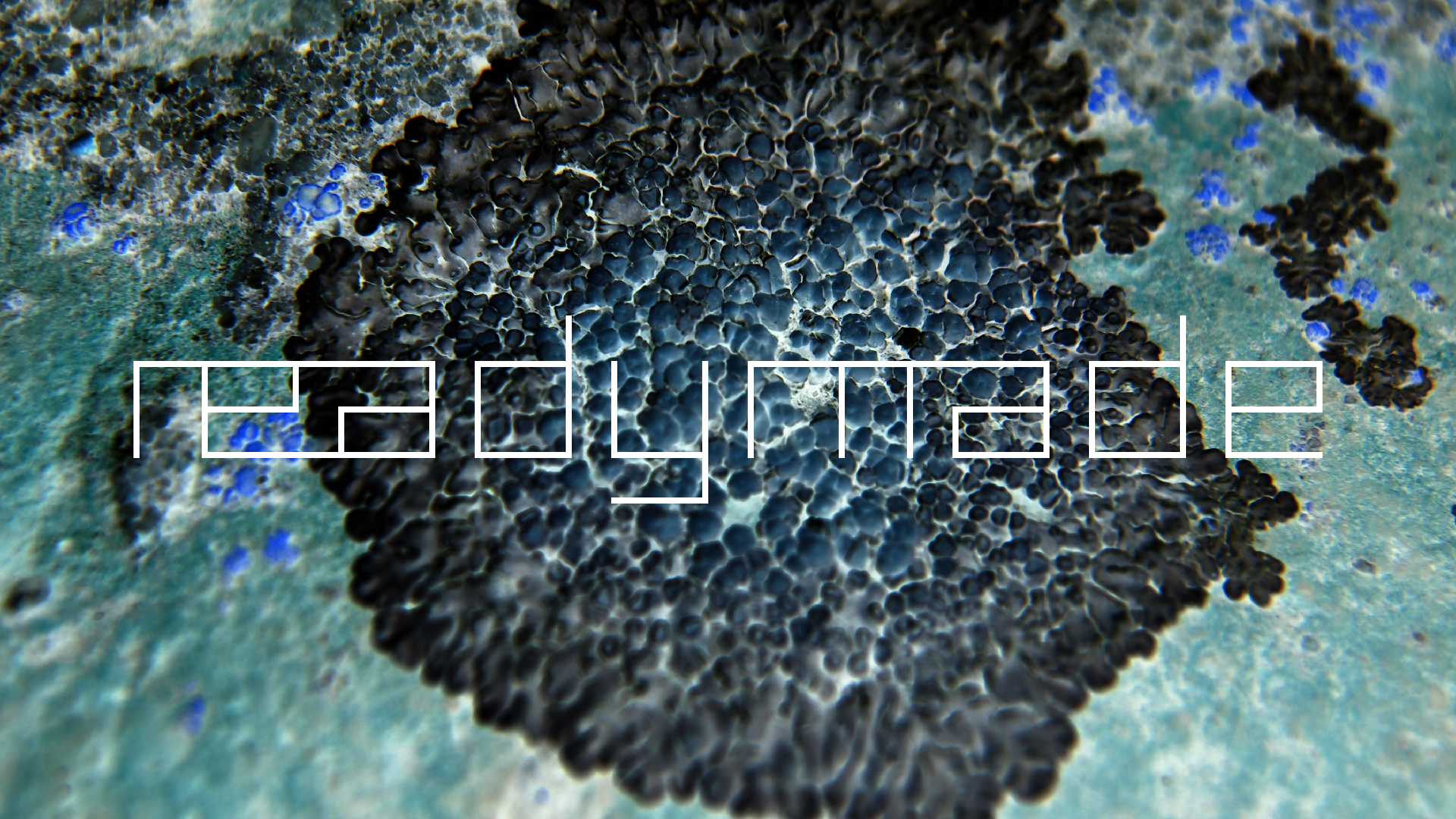 2022-01-28 Das Kleine Regen Rhythmus Orchester (Special Guest: Woodwinds III) (aufm Dach) (Audio, Video)