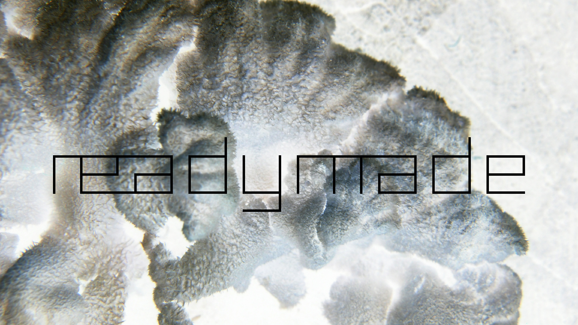 2022-01-28 Das Kleine Regen Rhythmus Orchester (Special Guest: Woodwinds III) (aufm Dach) (Audio, Video)