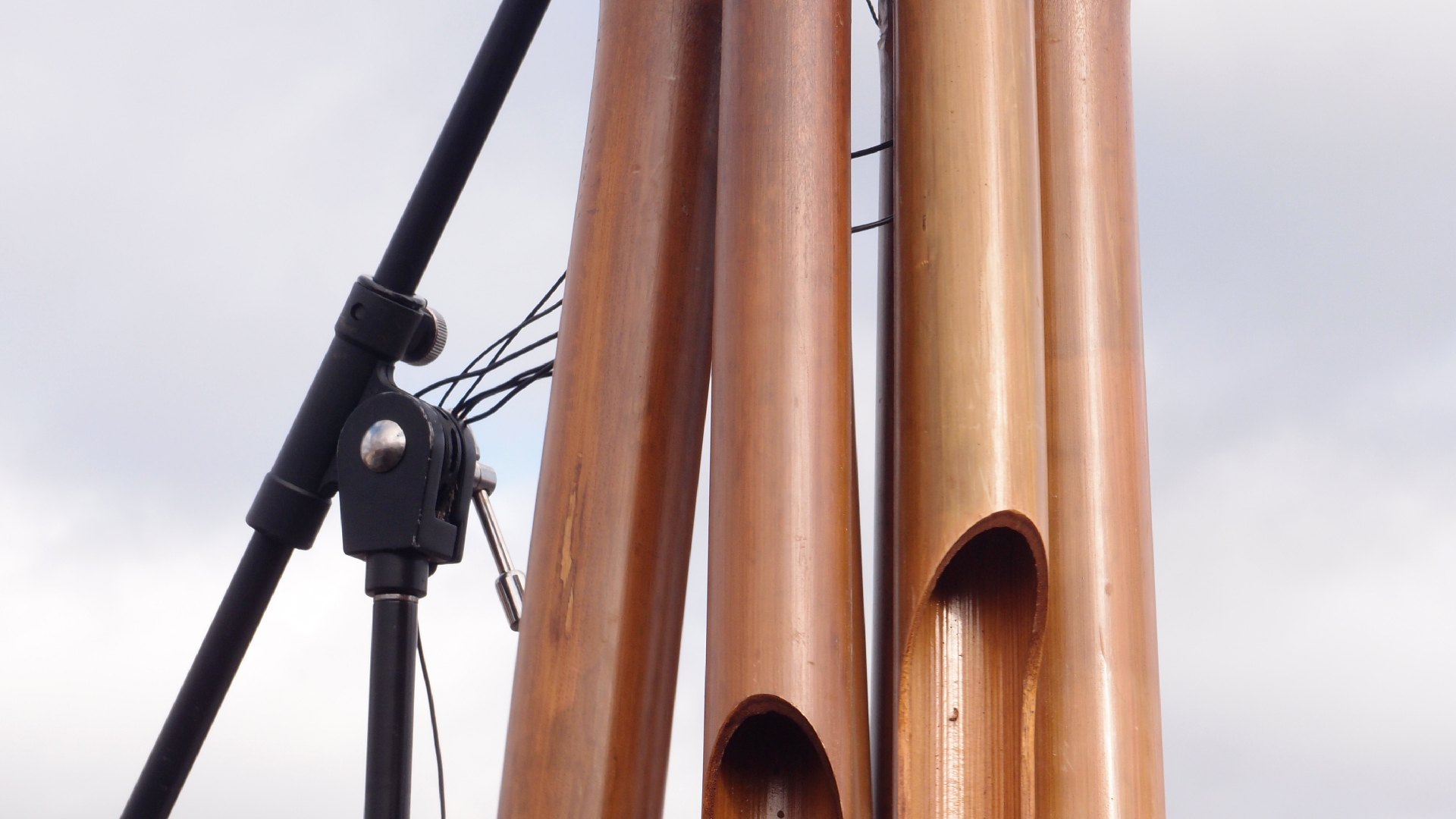 2022-01-28 Das Kleine Regen Rhythmus Orchester (Special Guest: Woodwinds III) (aufm Dach) (Audio, Video)