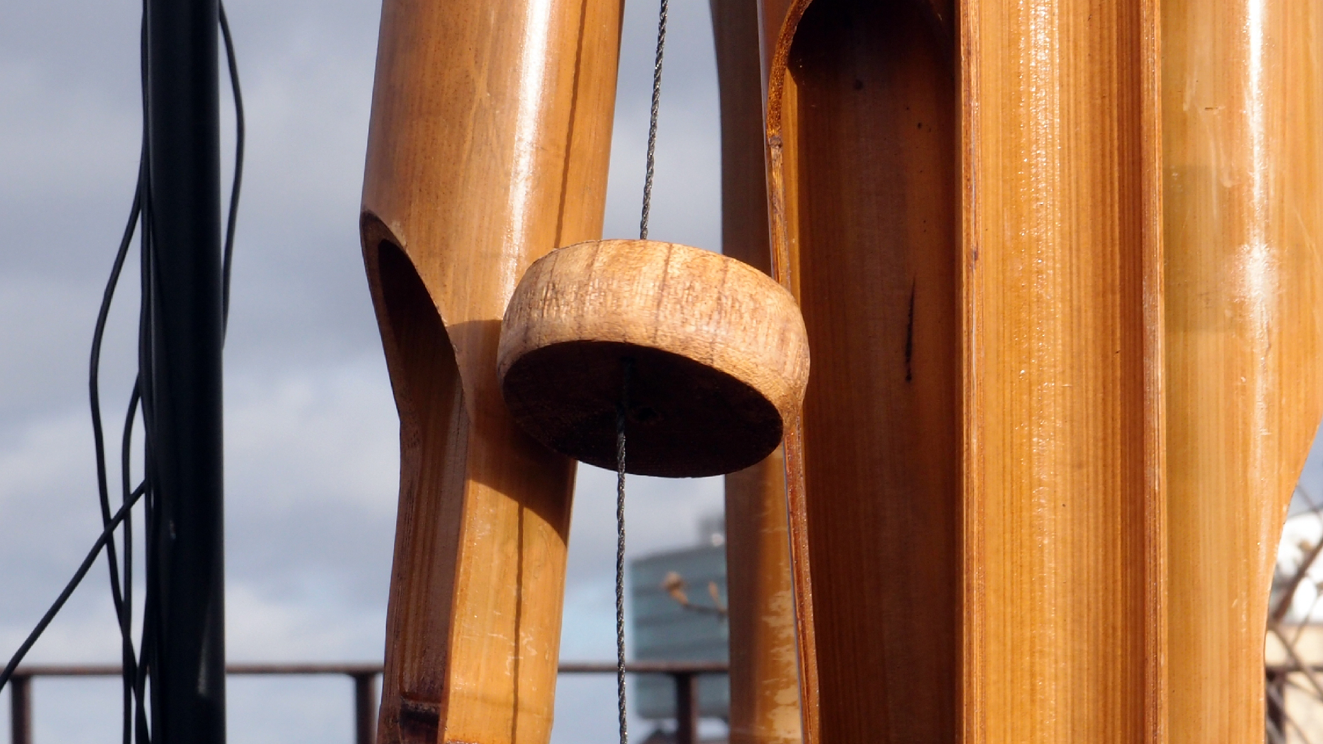 2022-01-28 Das Kleine Regen Rhythmus Orchester (Special Guest: Woodwinds III) (aufm Dach) (Audio, Video)
