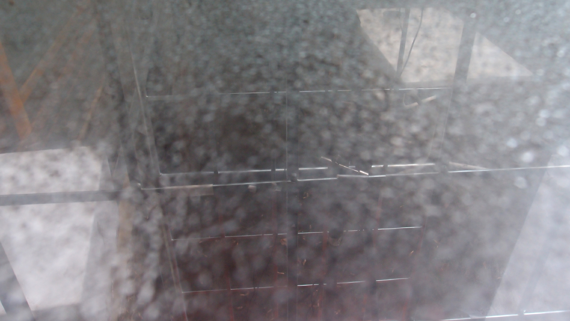 2022-02-08 Das Kleine Regen Rhythmus Orchester (Fensterglas einfach, im Bilderrahmen, II) (Audio, Video)