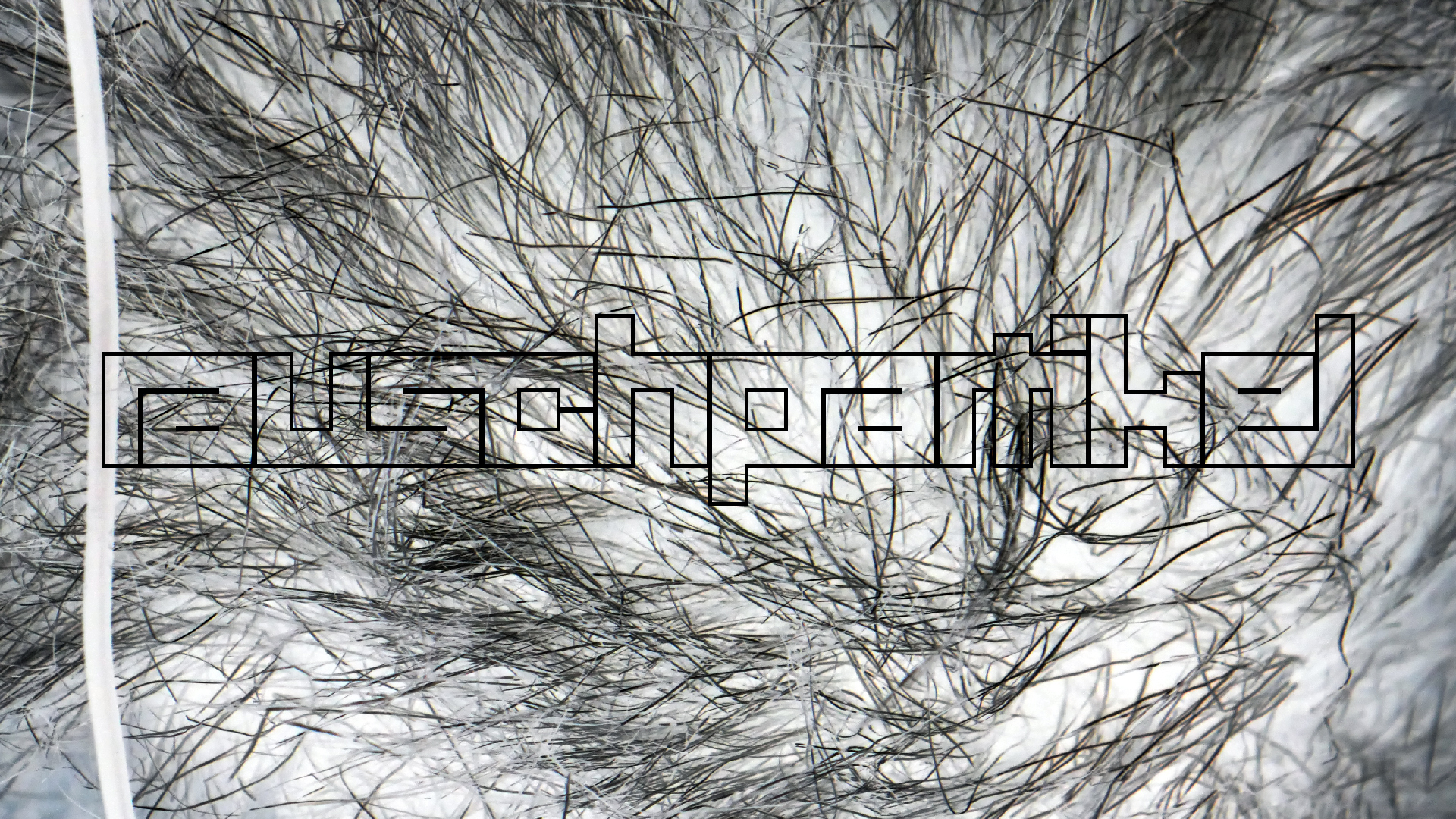 2022-02-16 Das Kleine Regen Rhythmus Orchester (Fensterglas einfach, im Bilderrahmen, III) (Audio, Video)