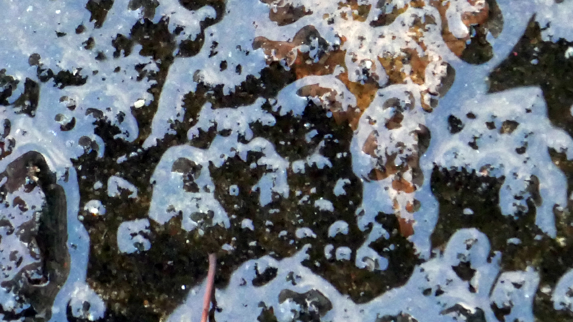 2022-02-16 Das Kleine Regen Rhythmus Orchester (Fensterglas einfach, im Bilderrahmen, III) (Audio, Video)