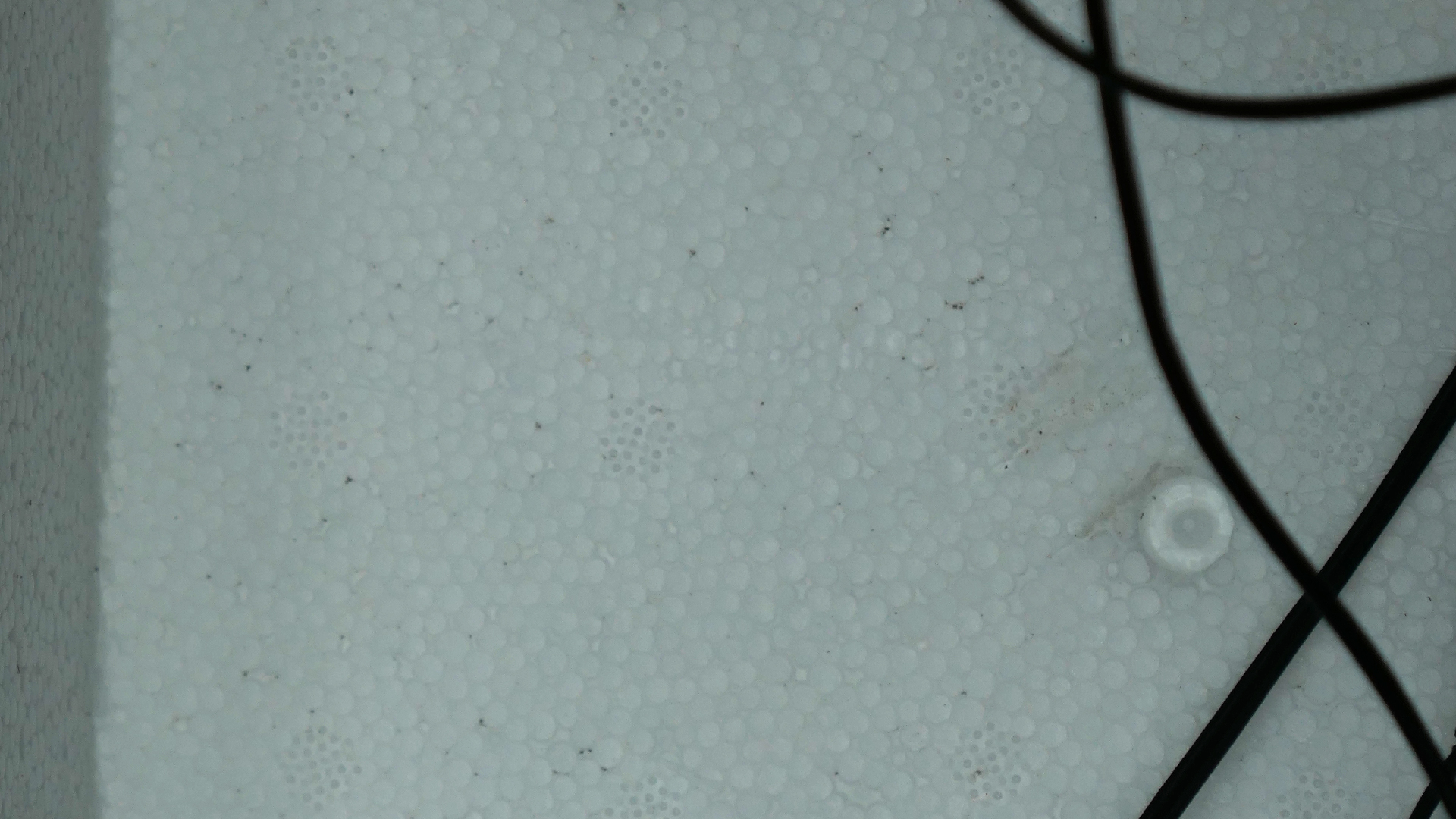 2022-02-18 Das Kleine Regen Rhythmus Orchester (Styroporbox) (Audio, Video)