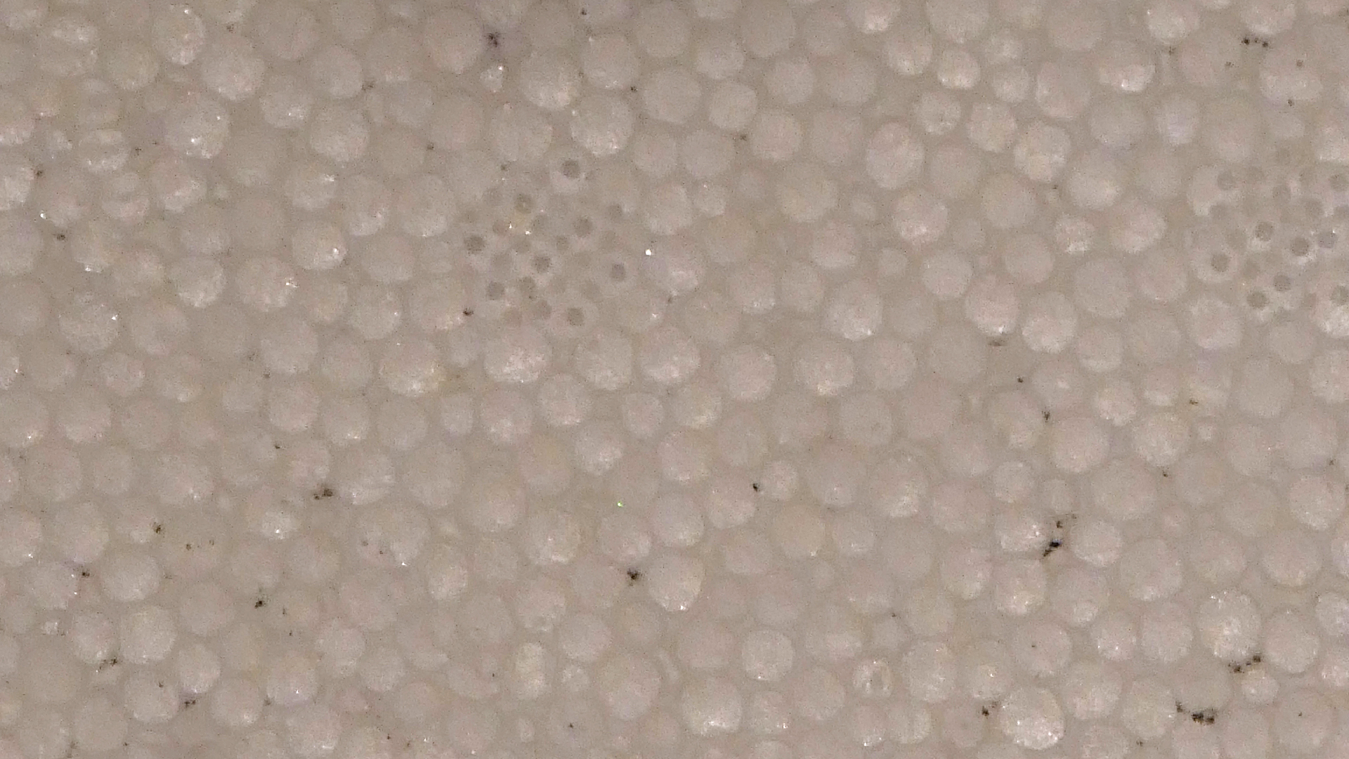 2022-02-18 Das Kleine Regen Rhythmus Orchester (Styroporbox) (Audio, Video)