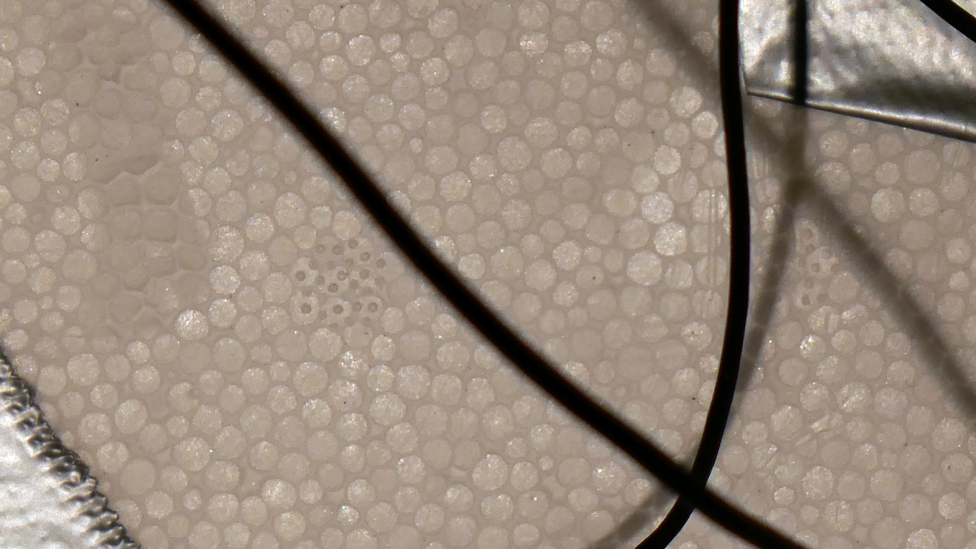 2022-02-18 Das Kleine Regen Rhythmus Orchester (Styroporbox) (Audio, Video)