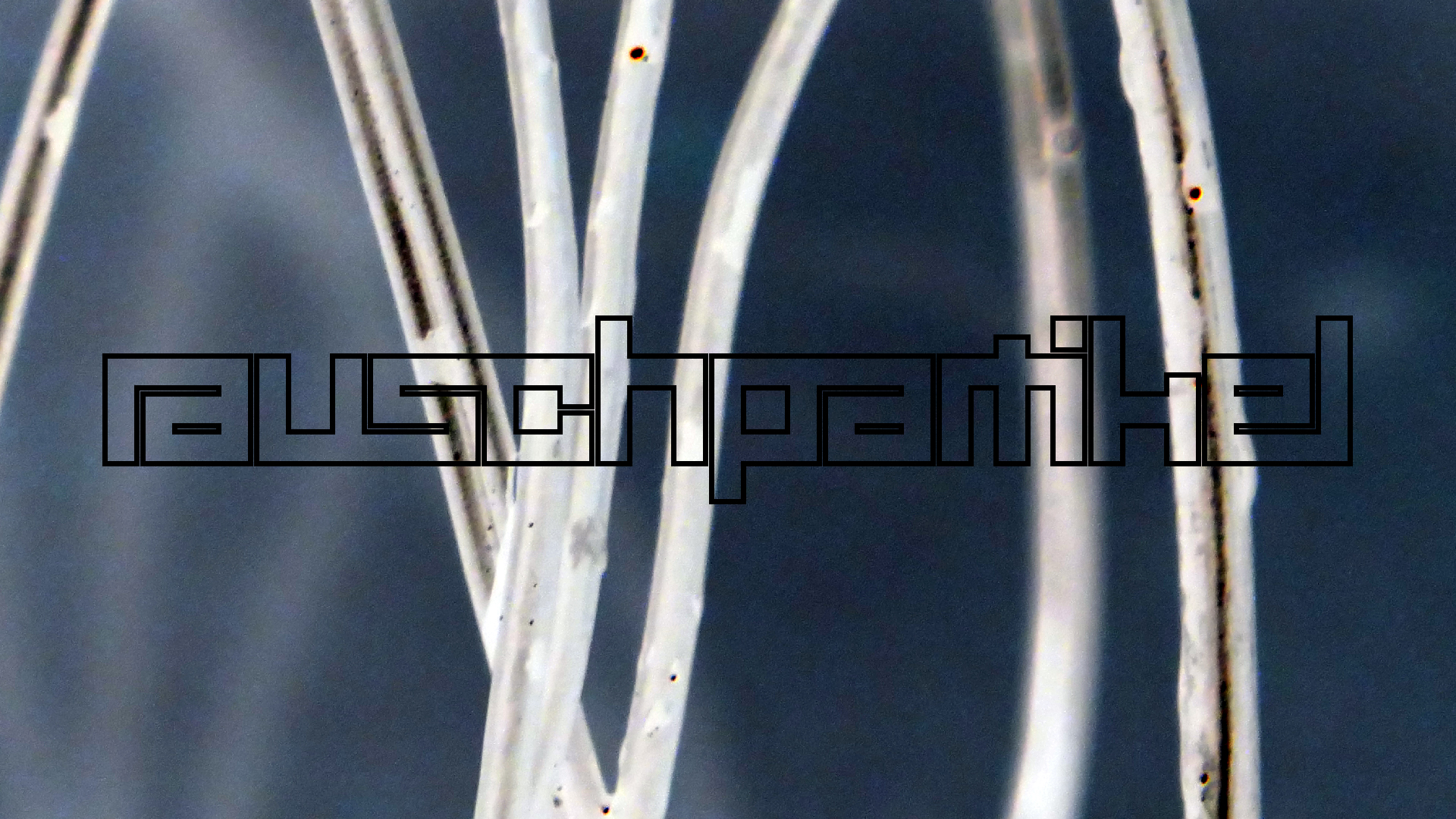 2022-02-18 Das Kleine Regen Rhythmus Orchester (Styroporbox) (Audio, Video)