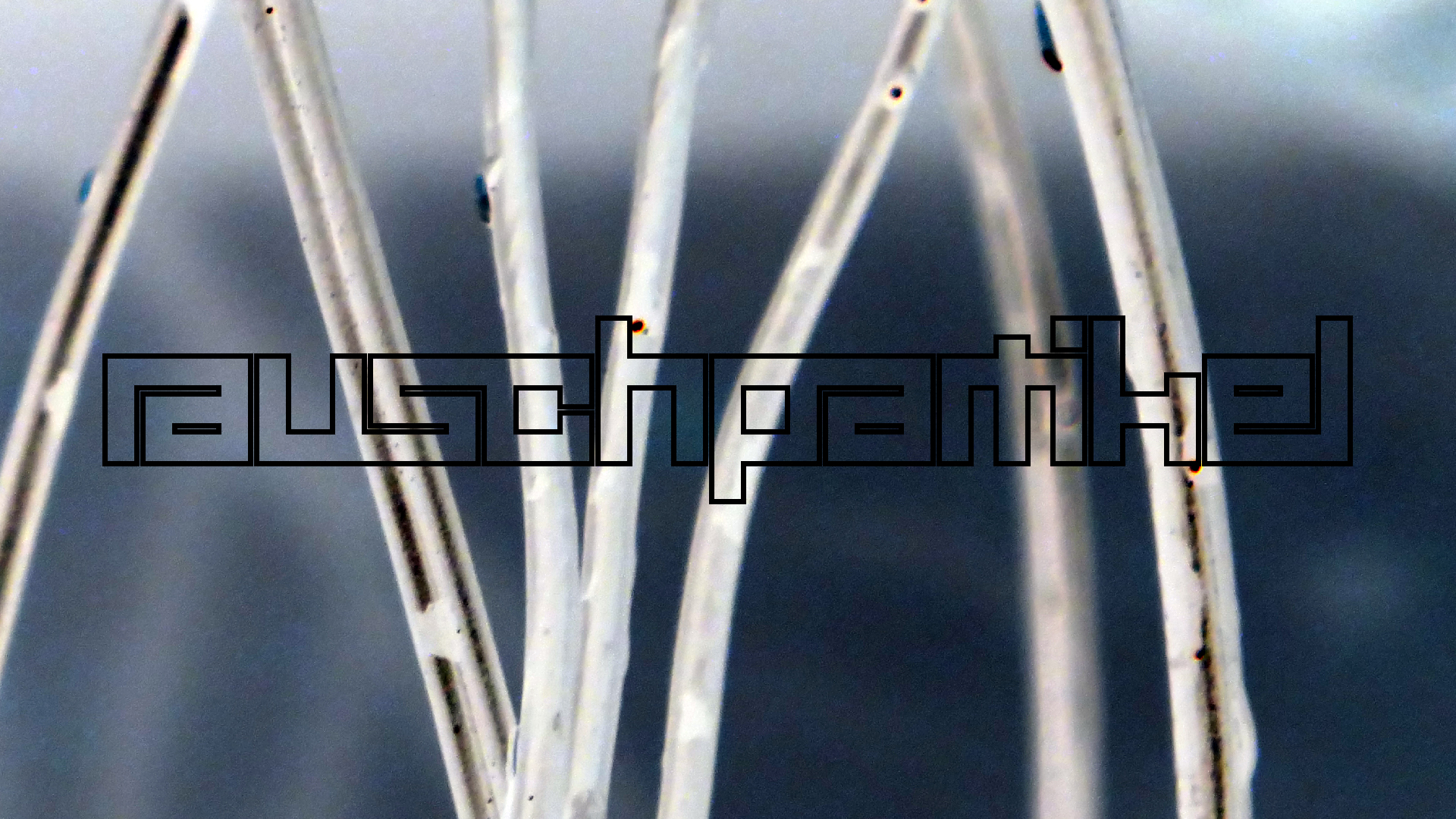 2022-02-18 Das Kleine Regen Rhythmus Orchester (Styroporbox) (Audio, Video)