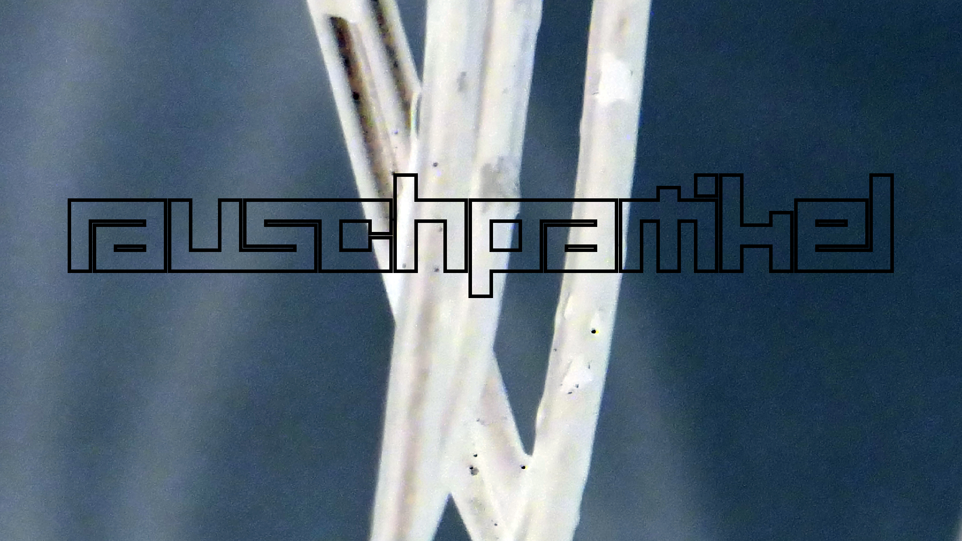 2022-02-18 Das Kleine Regen Rhythmus Orchester (Styroporbox) (Audio, Video)