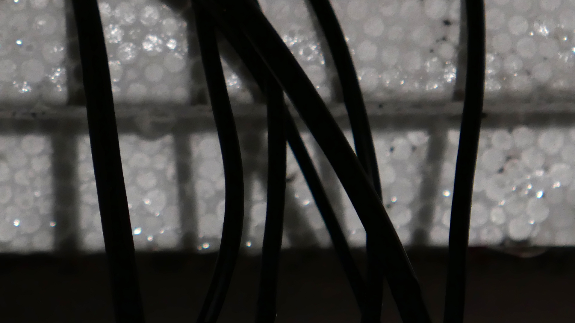 2022-02-18 Das Kleine Regen Rhythmus Orchester (Styroporbox) (Audio, Video)
