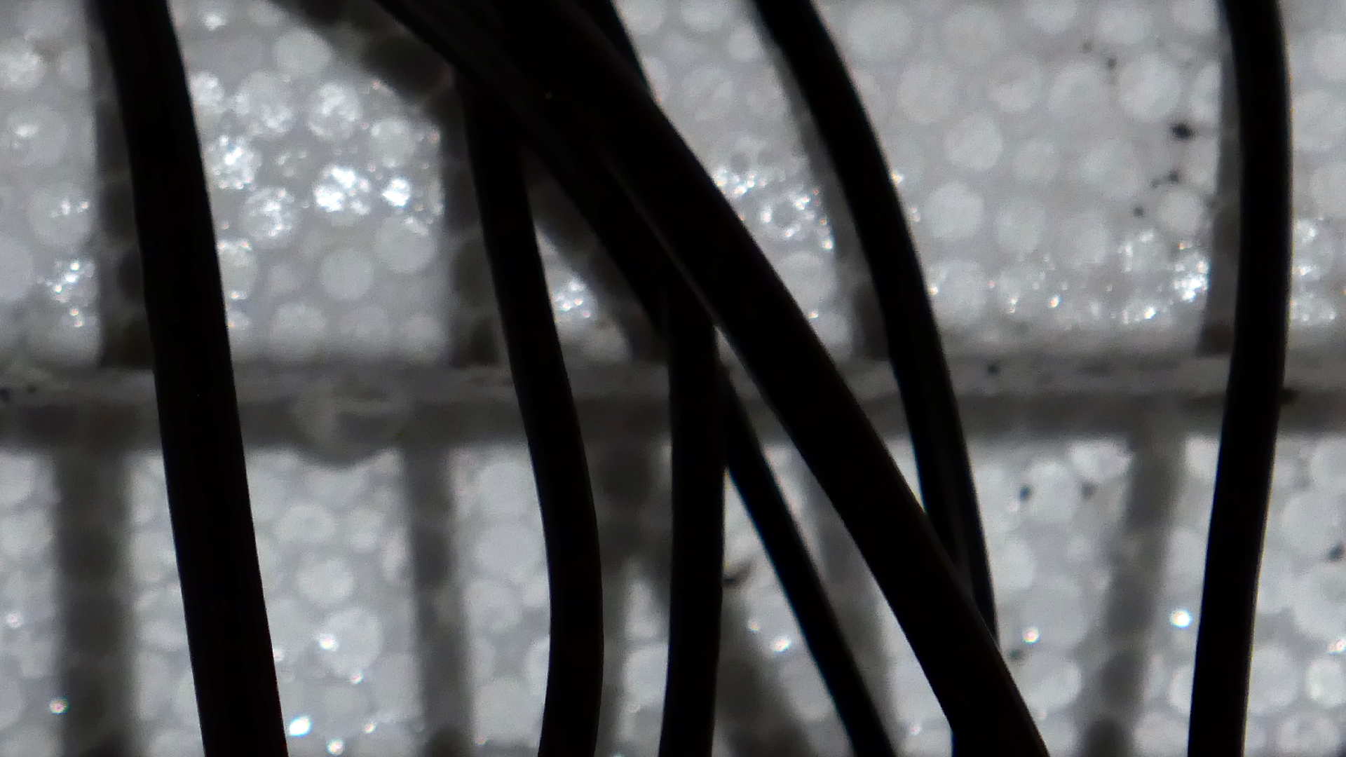 2022-02-18 Das Kleine Regen Rhythmus Orchester (Styroporbox) (Audio, Video)