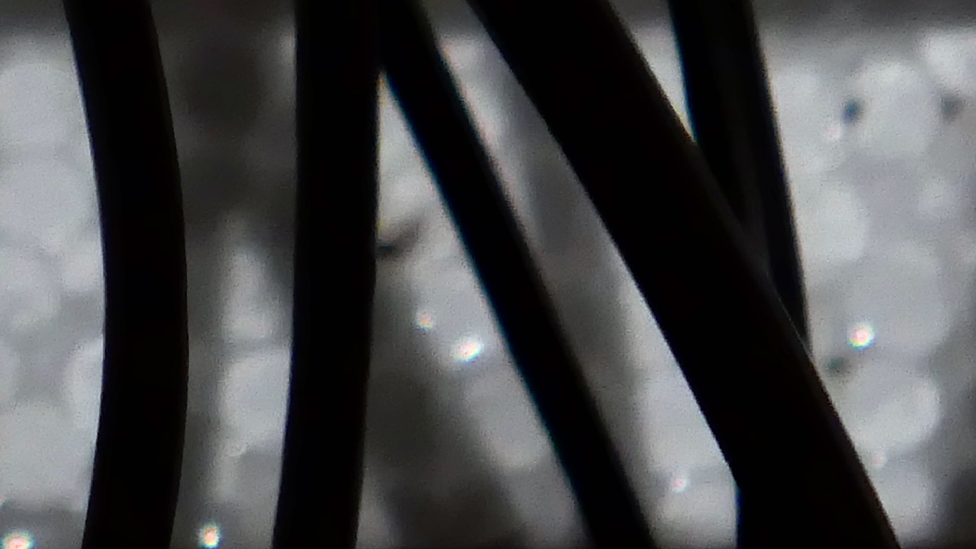 2022-02-18 Das Kleine Regen Rhythmus Orchester (Styroporbox) (Audio, Video)