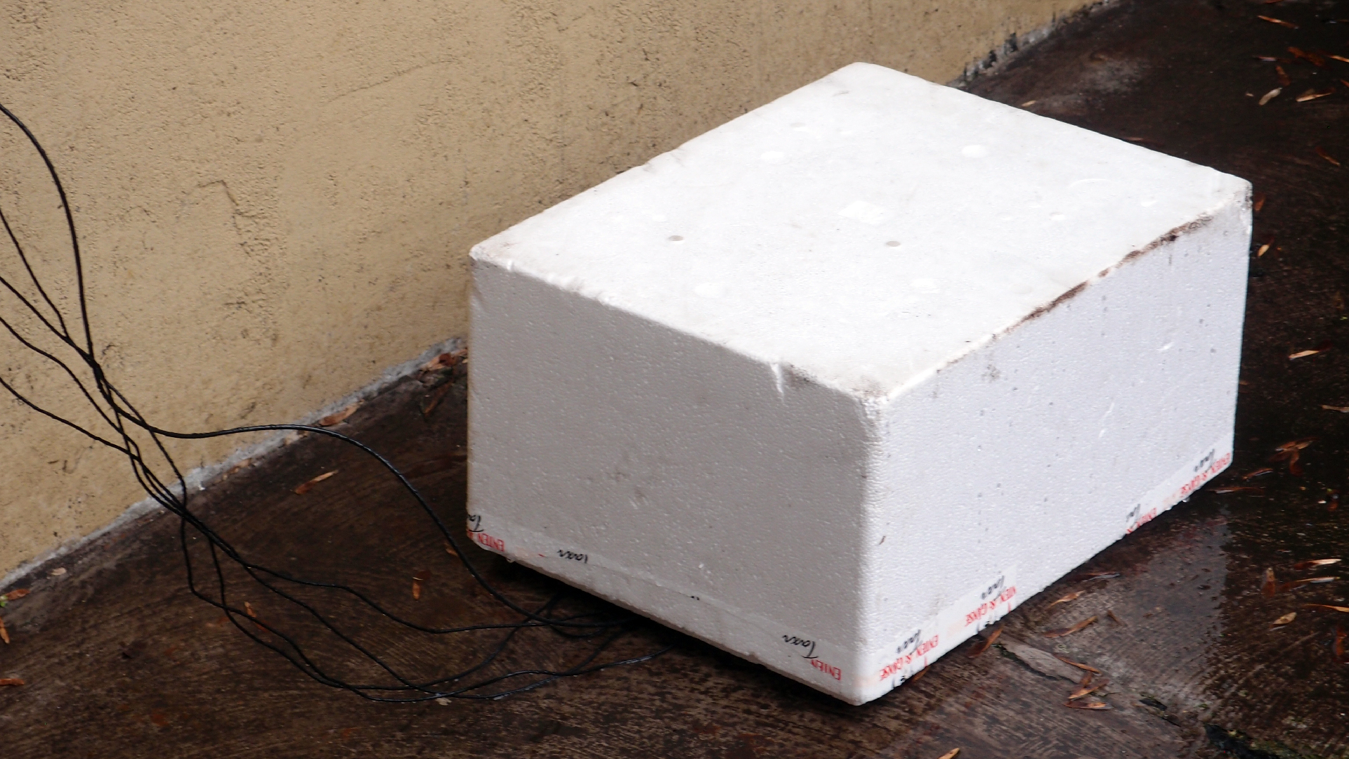 2022-02-18 Das Kleine Regen Rhythmus Orchester (Styroporbox) (Audio, Video)