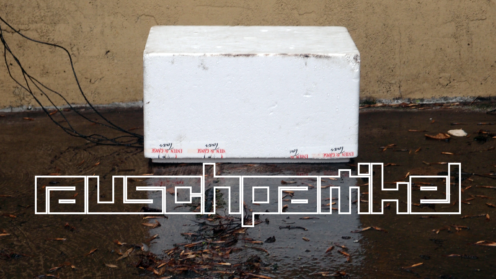 2022-02-18 Das Kleine Regen Rhythmus Orchester (Styroporbox) (Audio, Video)