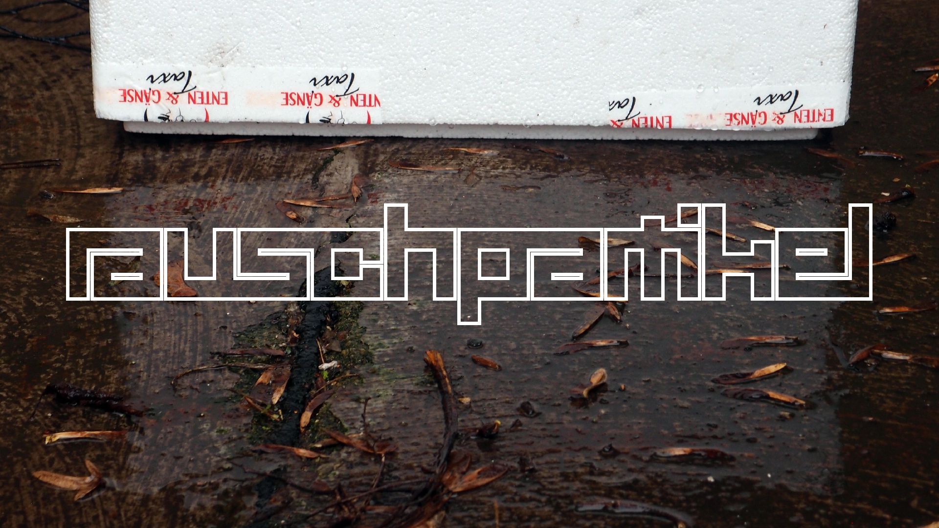 2022-02-18 Das Kleine Regen Rhythmus Orchester (Styroporbox) (Audio, Video)
