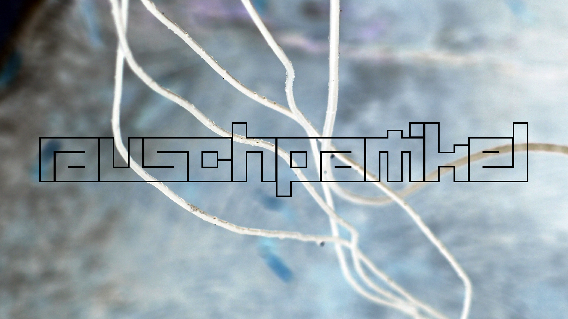 2022-02-18 Das Kleine Regen Rhythmus Orchester (Styroporbox) (Audio, Video)