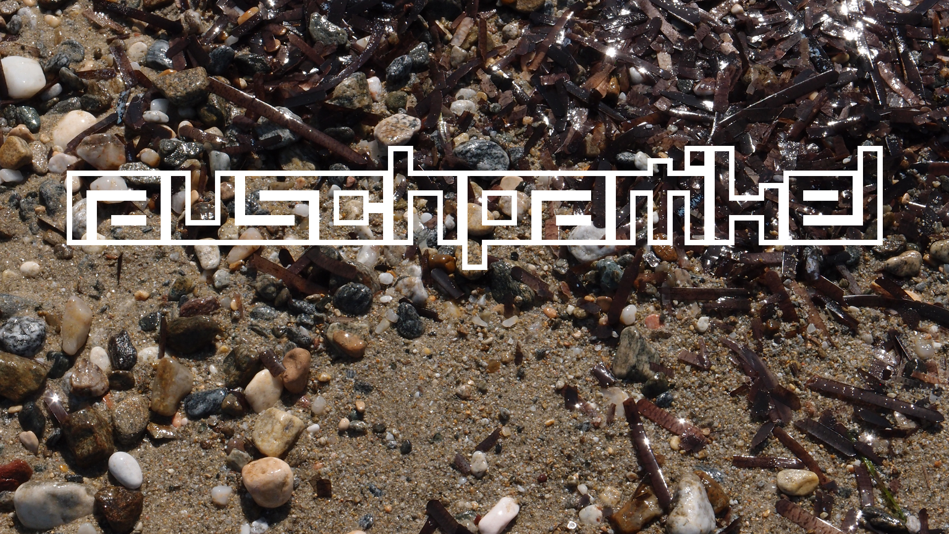 2021-09-17 03 Parasporos Beach Club (Zikaden) (Fieldrecording, Foto, Video)