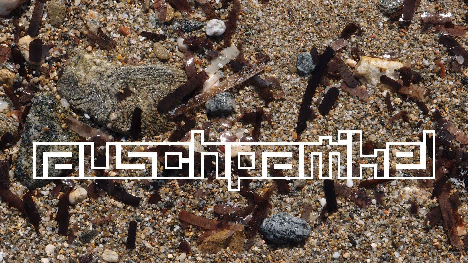2021-09-17 03 Parasporos Beach Club (Zikaden) (Fieldrecording, Foto, Video)