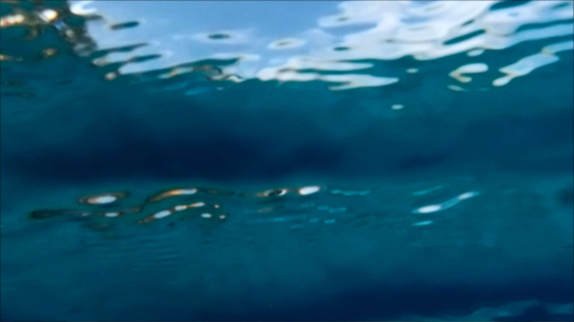 2022-04-14 Am Strand und im Wasser (Quallenvideo, Stills & Numbers) (Typo Grafik, Video)