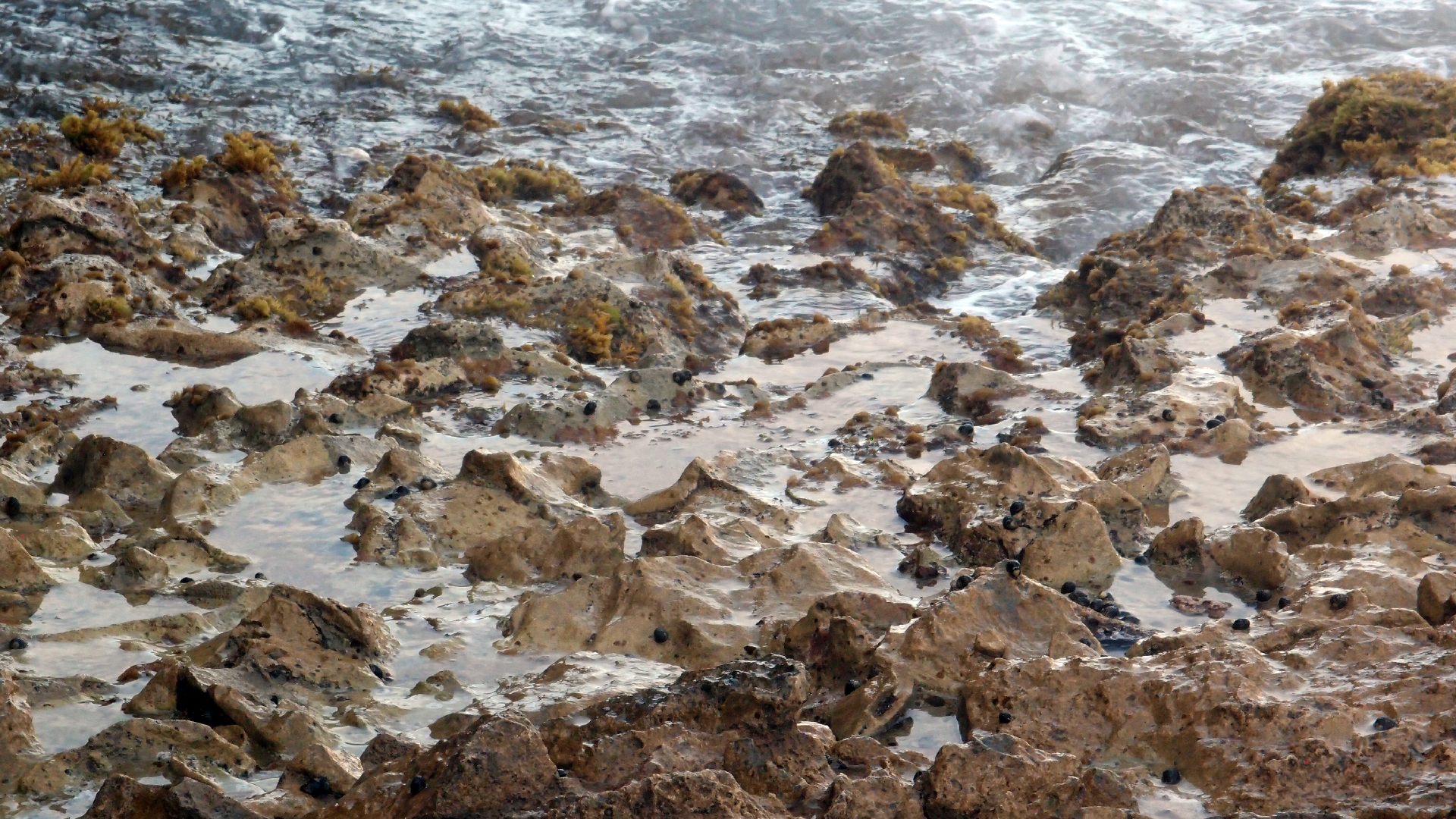 2022-04-14 Shete Boka Nationalpark (Foto)