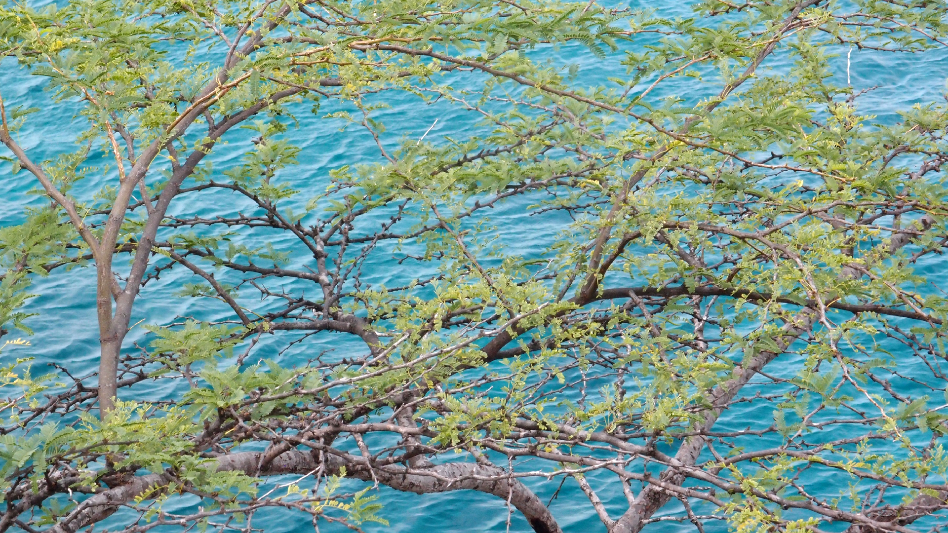 2022-04-17 Wind auf dem Meer (Audio, Foto, Video)