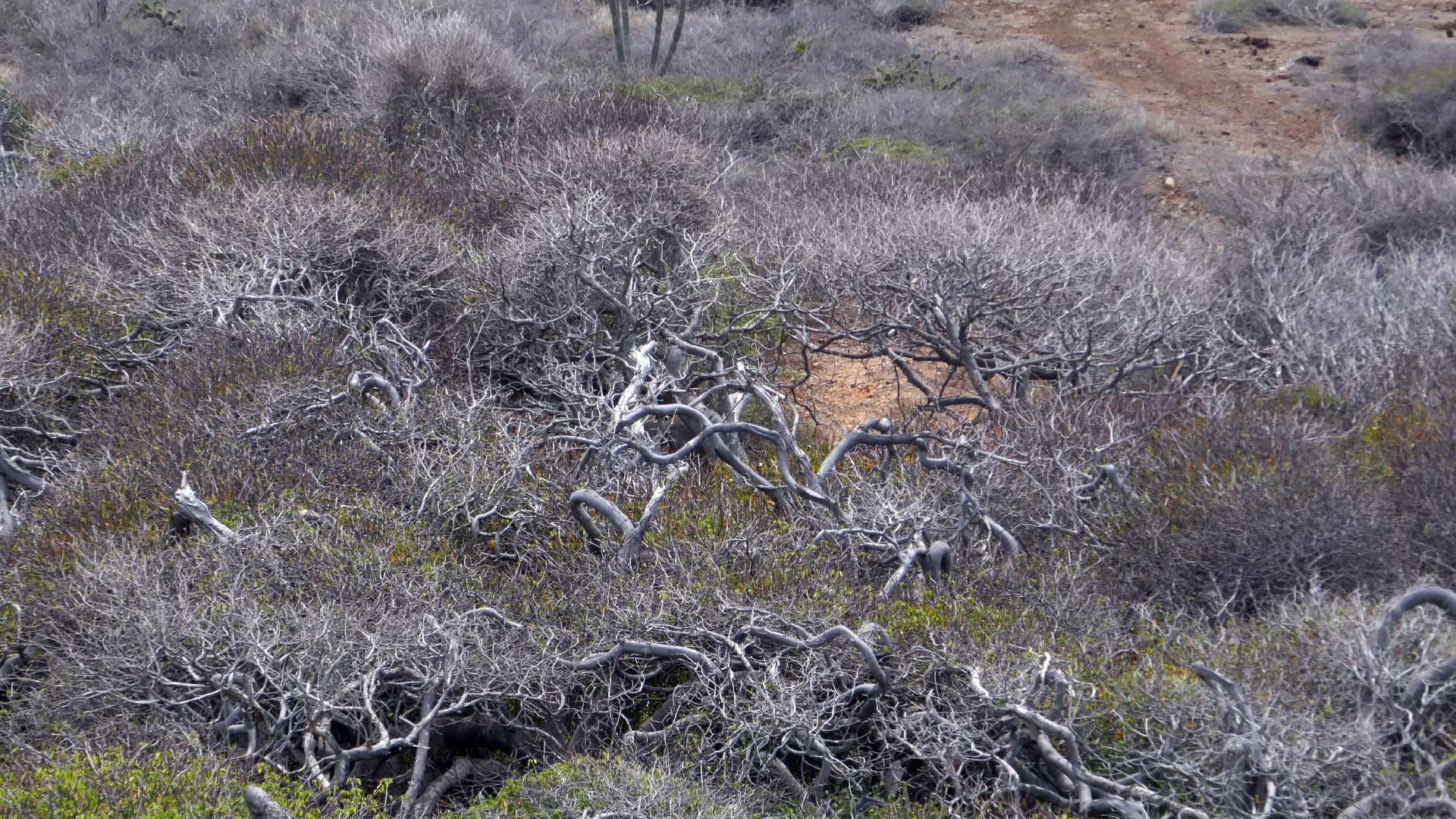2022-04-23 Shete Boka Nationalpark (Foto, Video)