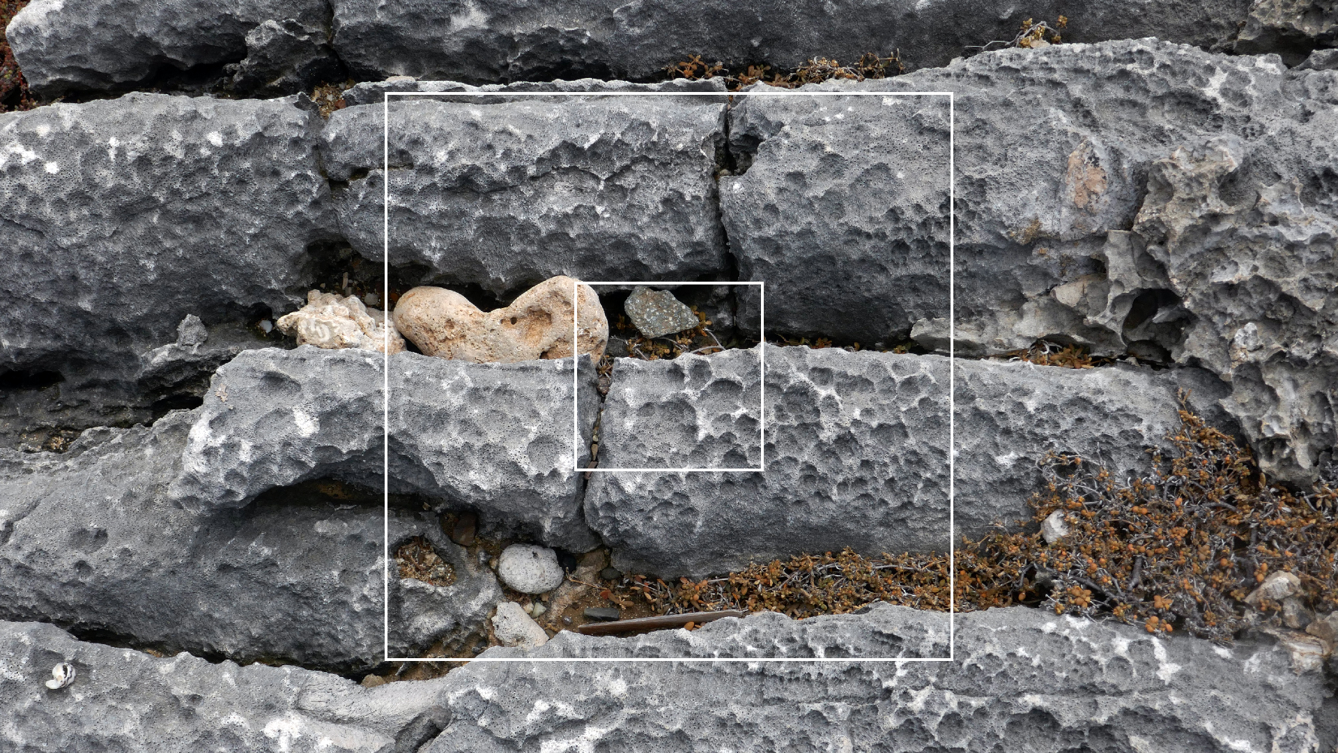 2022-04-23 Shete Boka Nationalpark (Foto, Video)