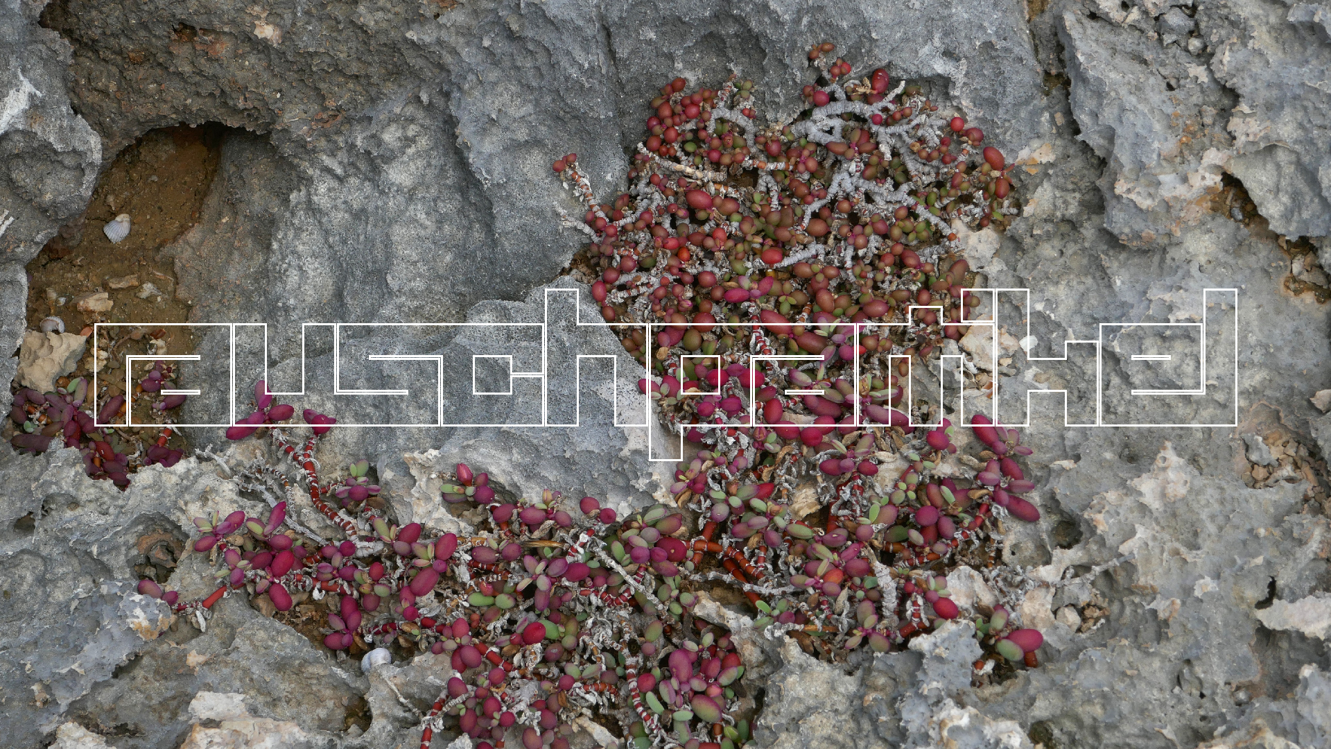 2022-04-23 Shete Boka Nationalpark (Foto, Video)