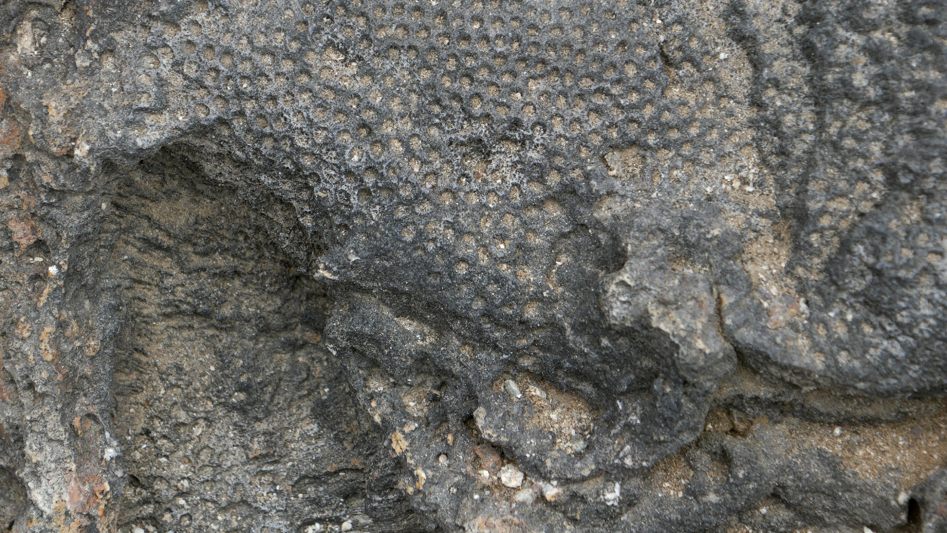 2022-04-23 Shete Boka Nationalpark (Foto, Video)