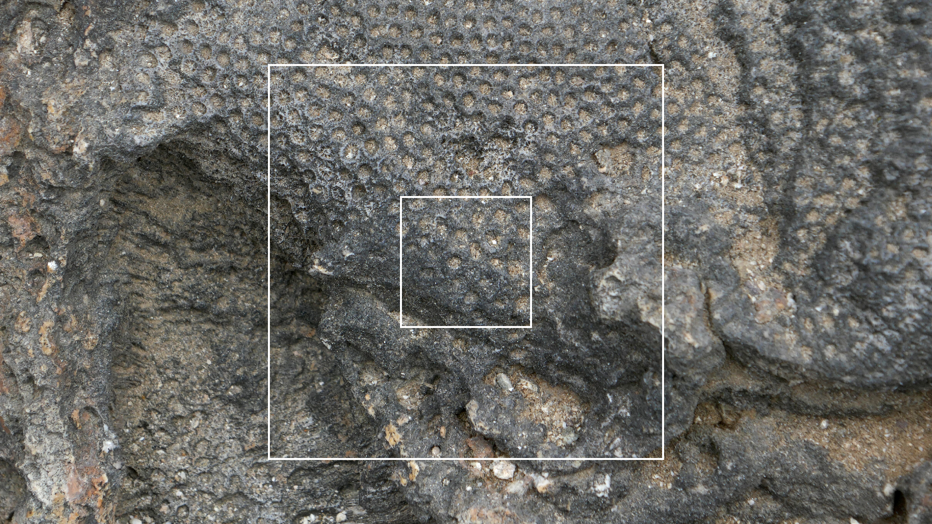 2022-04-23 Shete Boka Nationalpark (Foto, Video)