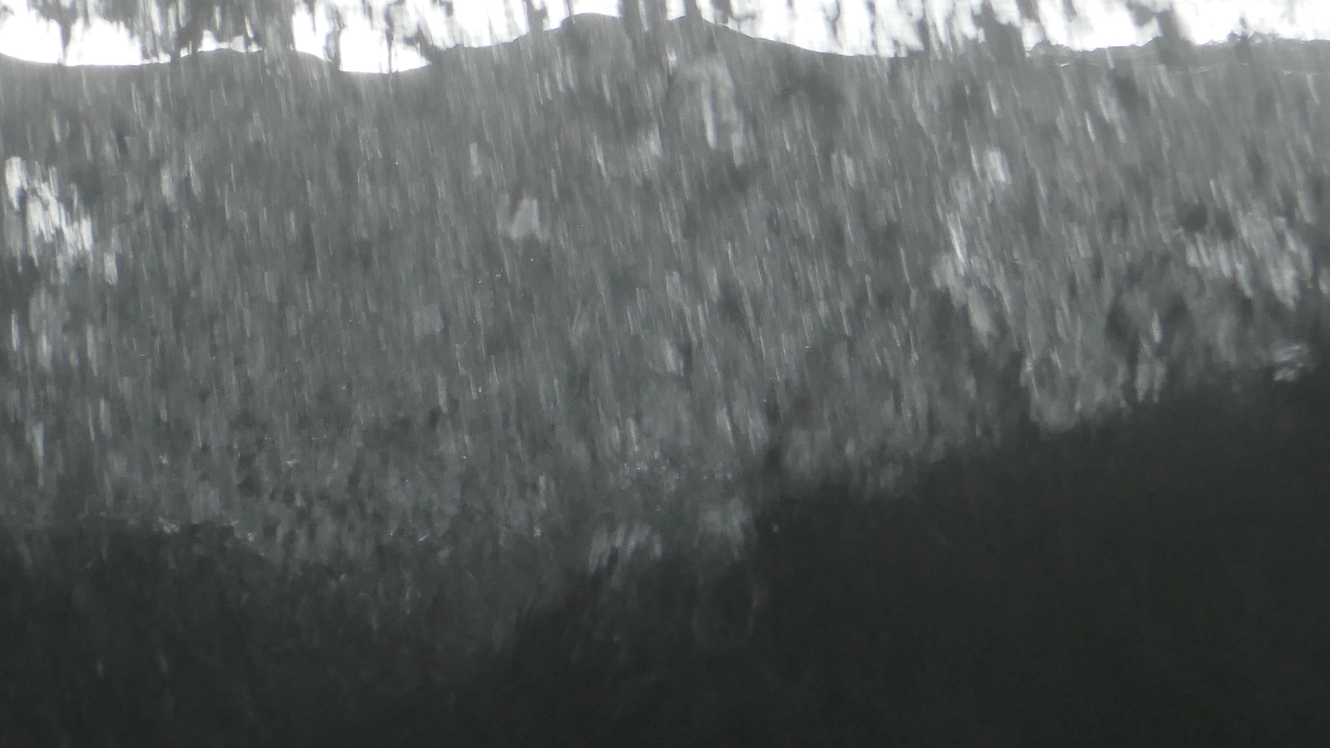 2022-04-23 Shete Boka Nationalpark (Foto, Video)