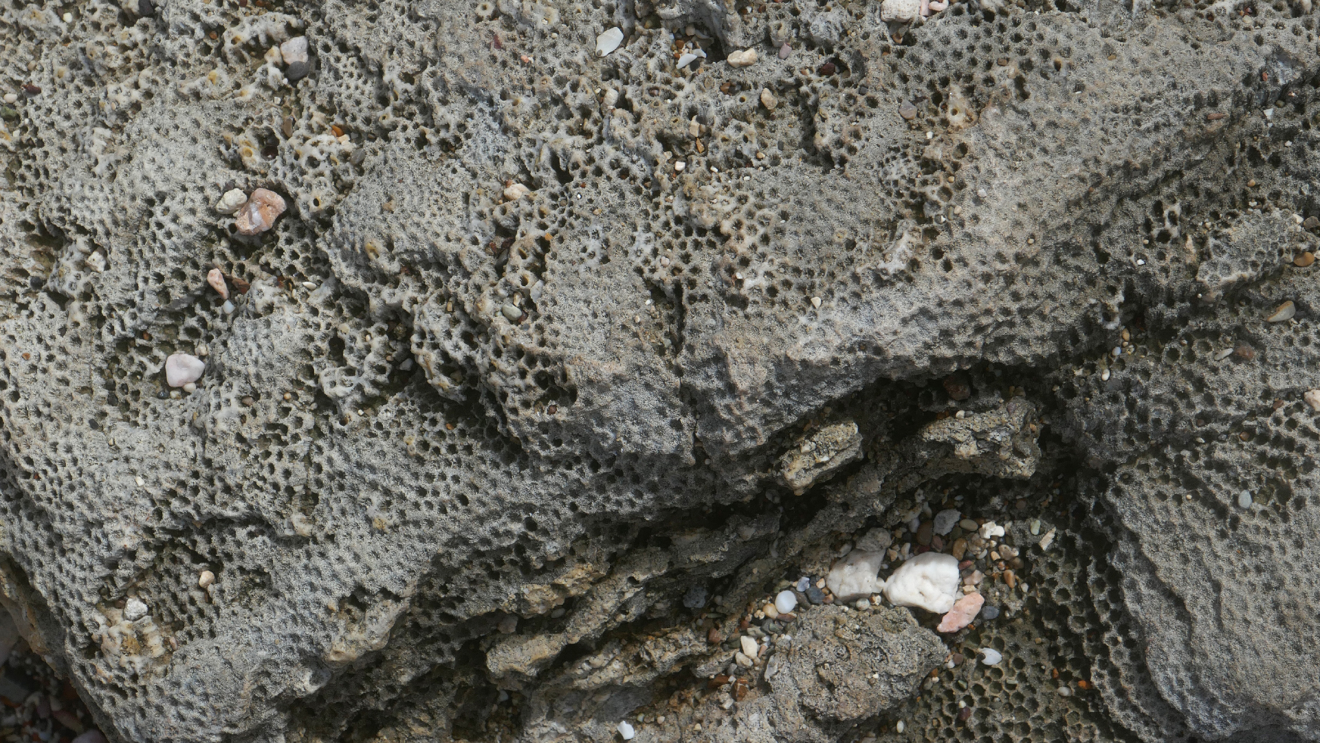 2022-04-23 Shete Boka Nationalpark (Foto, Video)