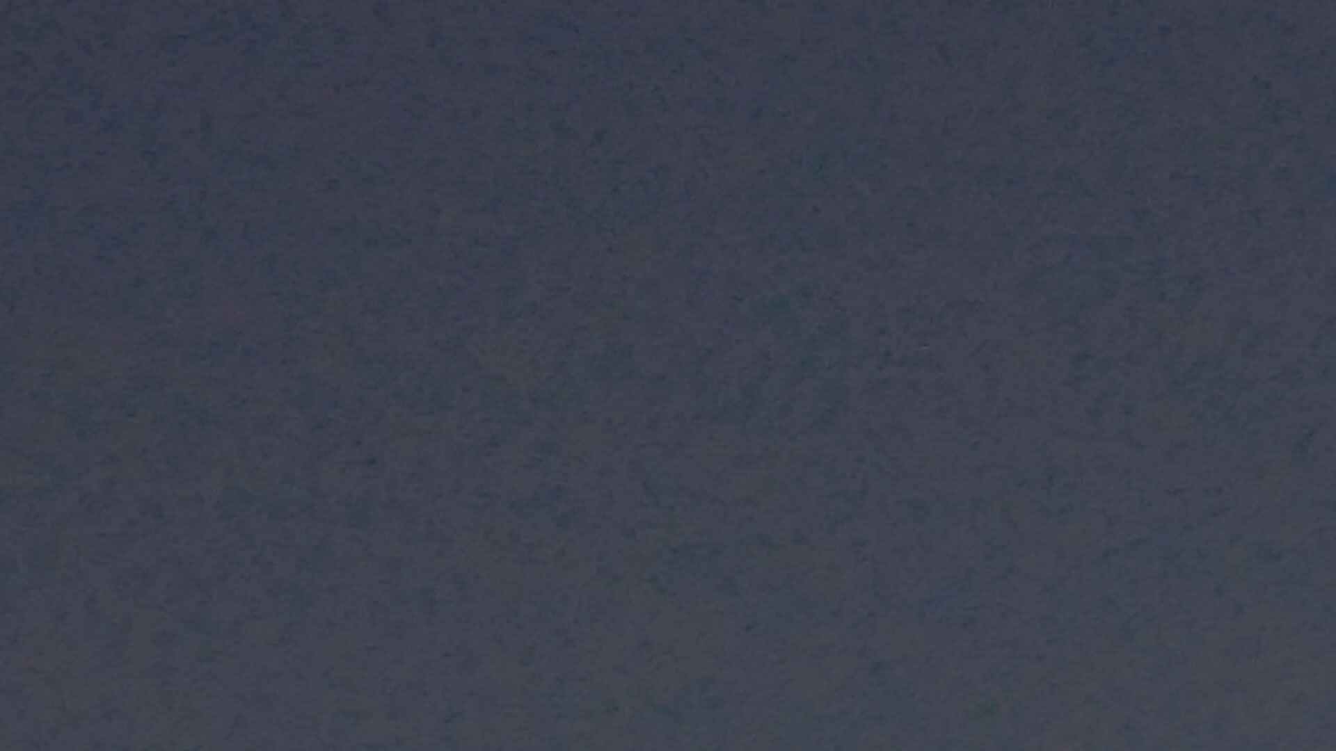2023-07 Gute Nacht (Videos)