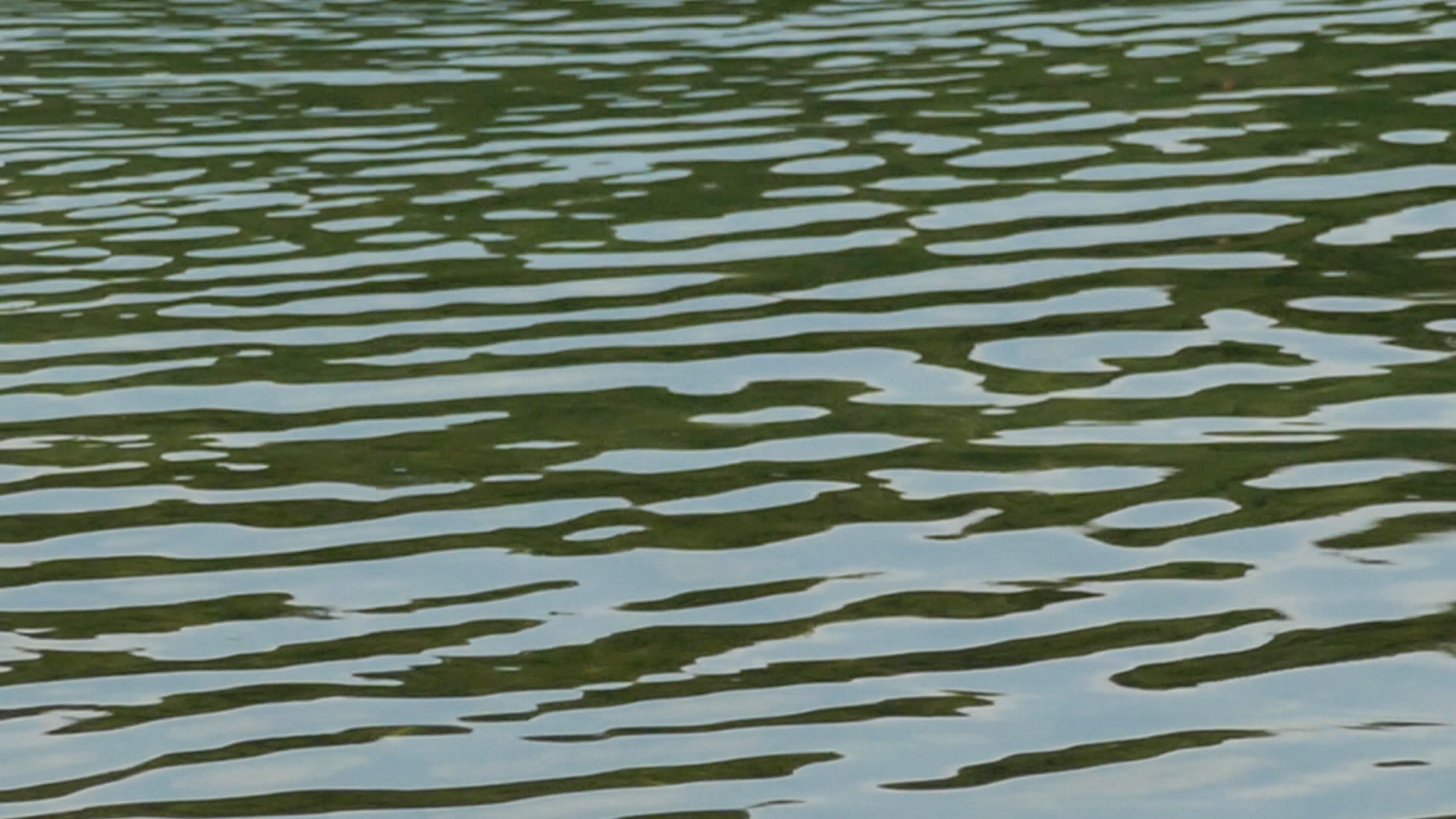 2023-08-19 und -20 Licht und Wasser am Stechlin (Fieldrecording Video)