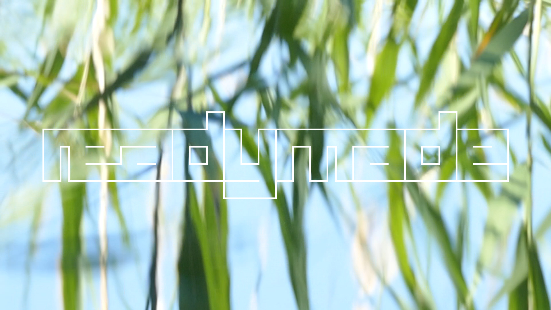 2023-08-19 und -20 Licht und Wasser am Stechlin (Fieldrecording Video)