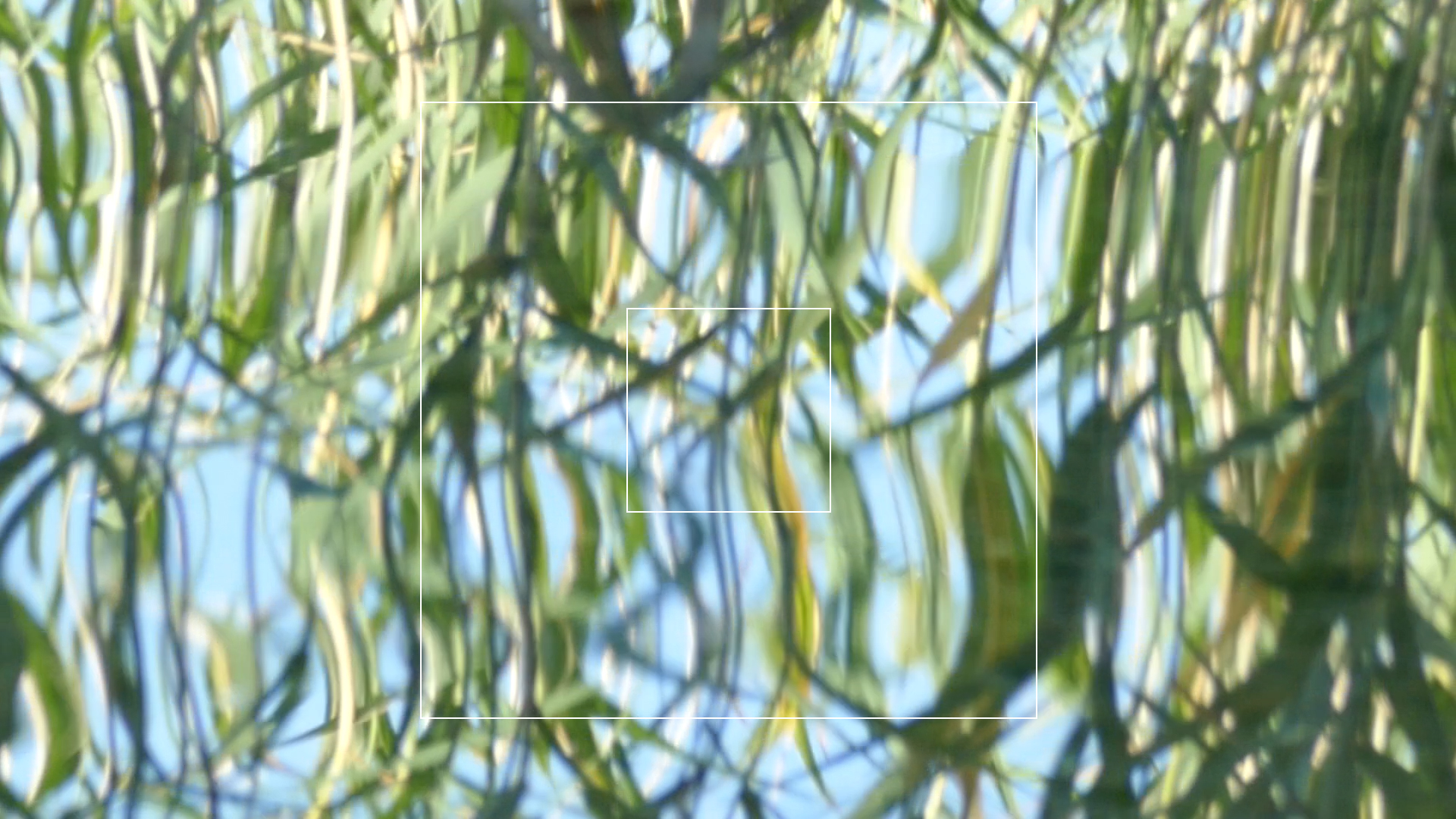 2023-08-19 und -20 Licht und Wasser am Stechlin (Fieldrecording Video)