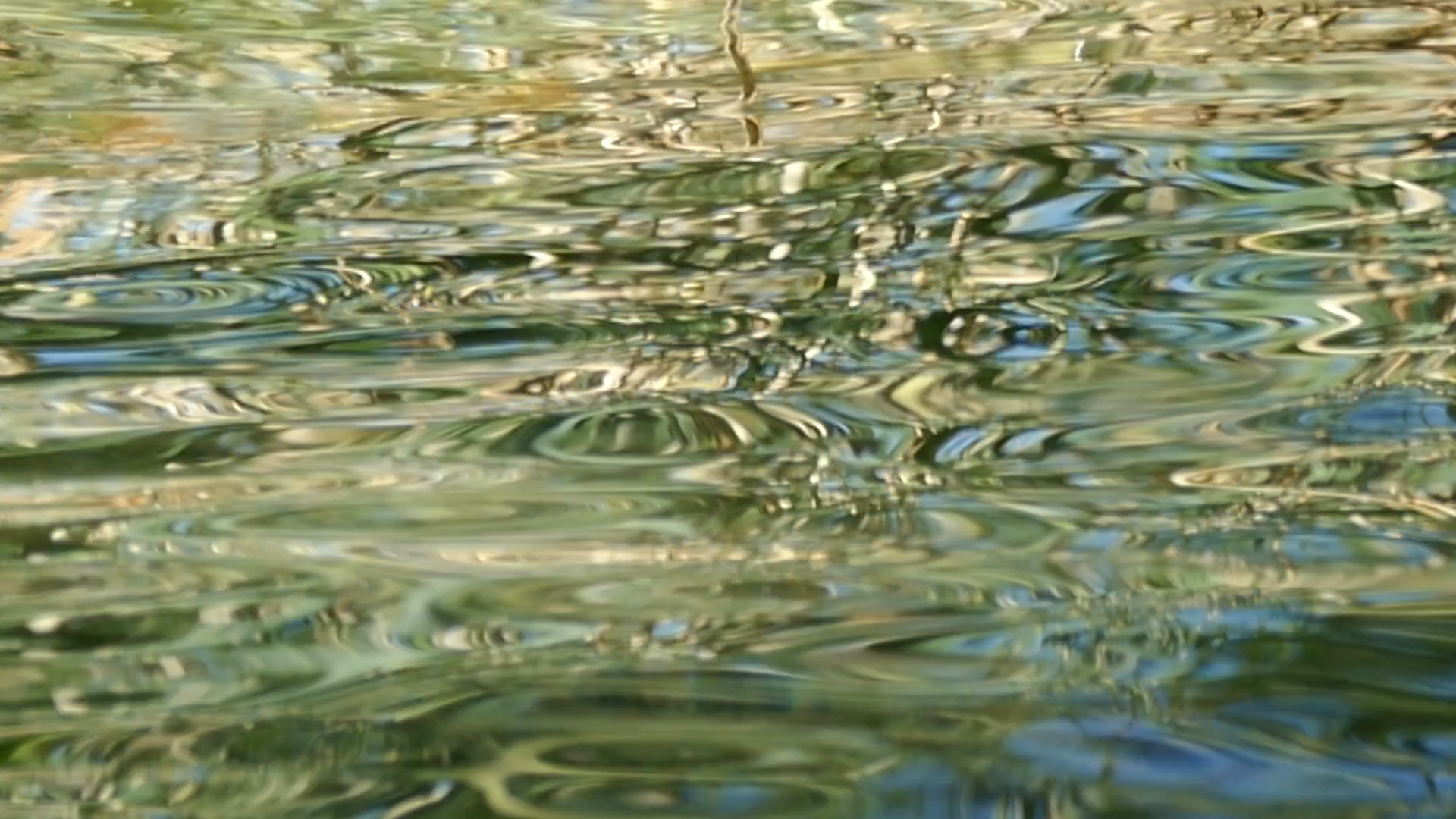 2023-08-19 und -20 Licht und Wasser am Stechlin (Fieldrecording Video)