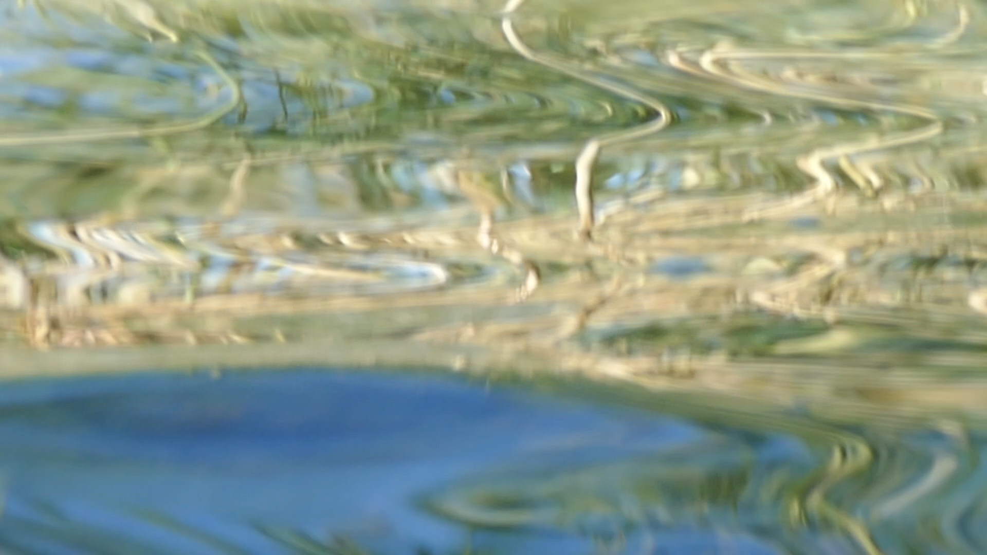 2023-08-19 und -20 Licht und Wasser am Stechlin (Fieldrecording Video)