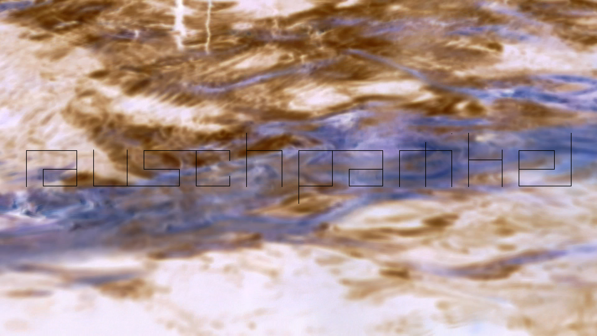 2023-08-19 und -20 Licht und Wasser am Stechlin (Fieldrecording Video)