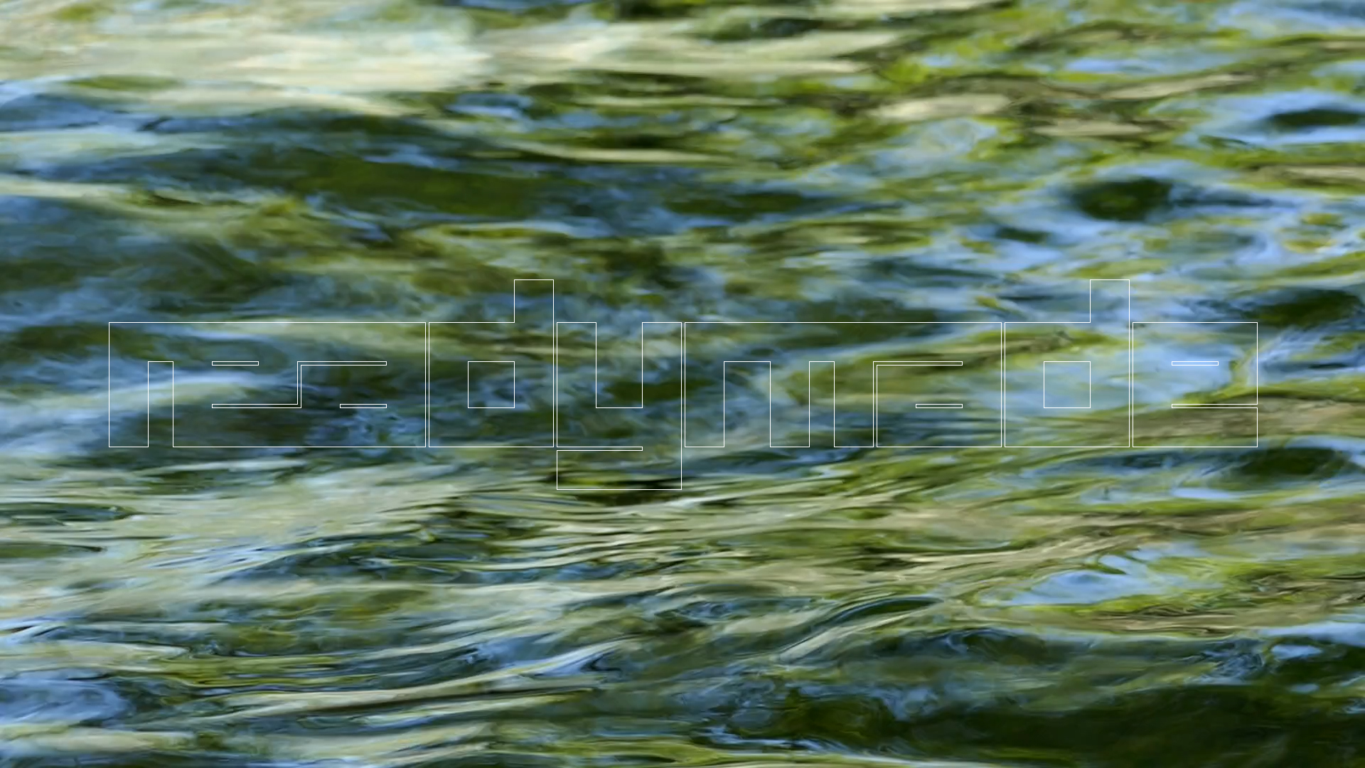 2023-08-19 und -20 Licht und Wasser am Stechlin (Fieldrecording Video)