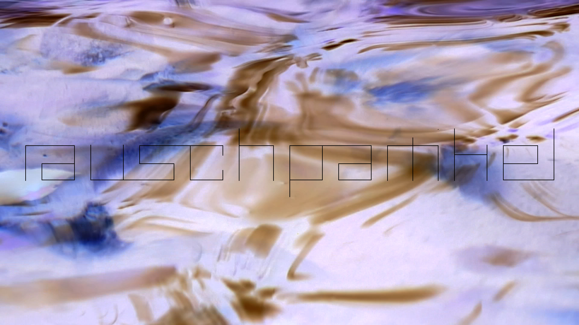 2023-08-19 und -20 Licht und Wasser am Stechlin (Fieldrecording Video)