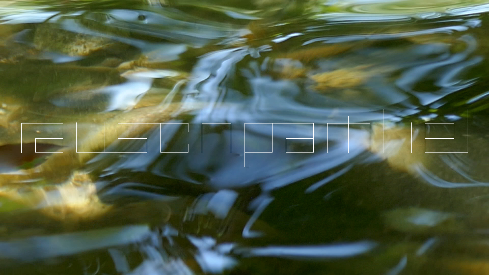 2023-08-19 und -20 Licht und Wasser am Stechlin (Fieldrecording Video)
