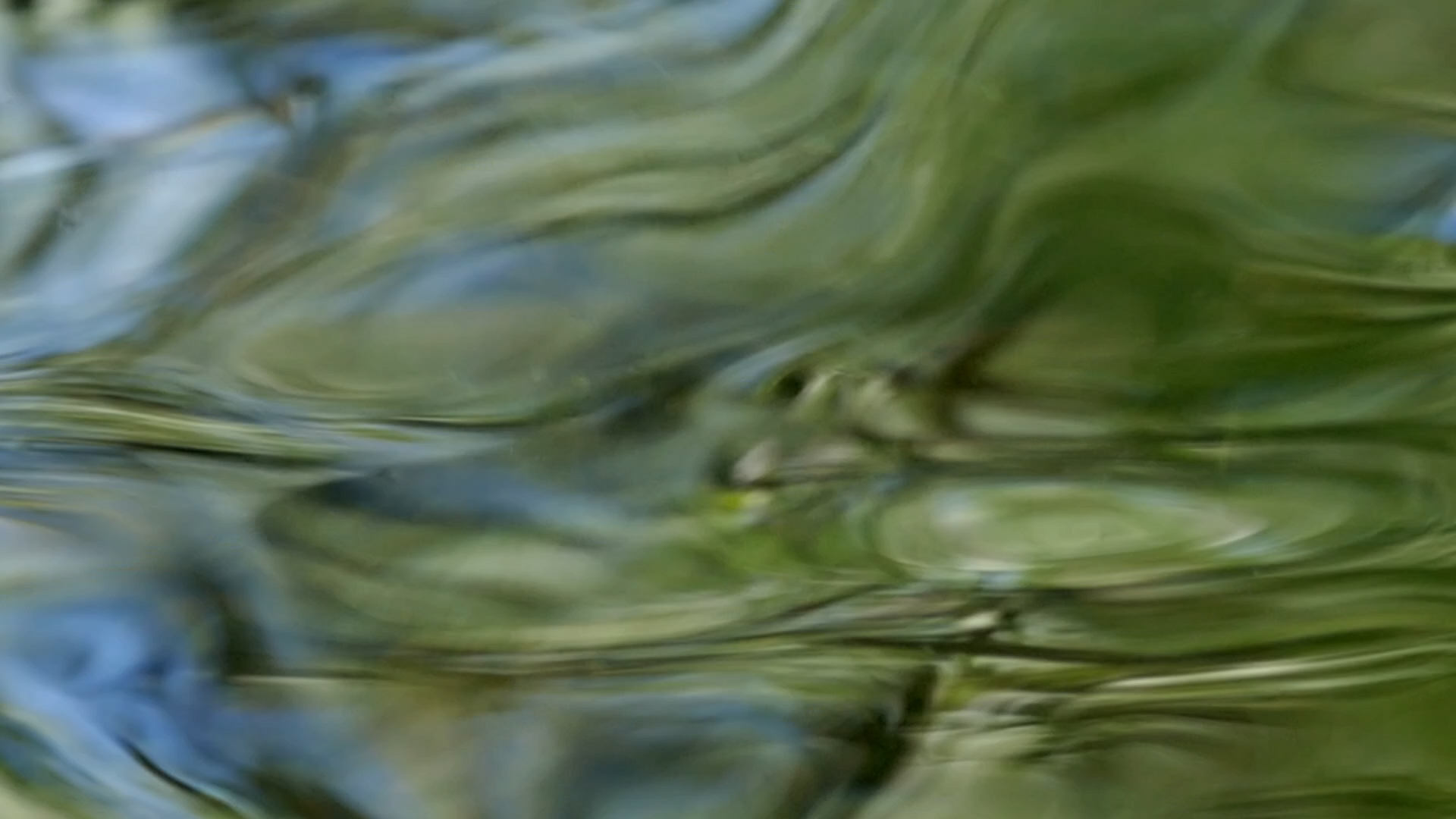 2023-08-19 und -20 Licht und Wasser am Stechlin (Fieldrecording Video)