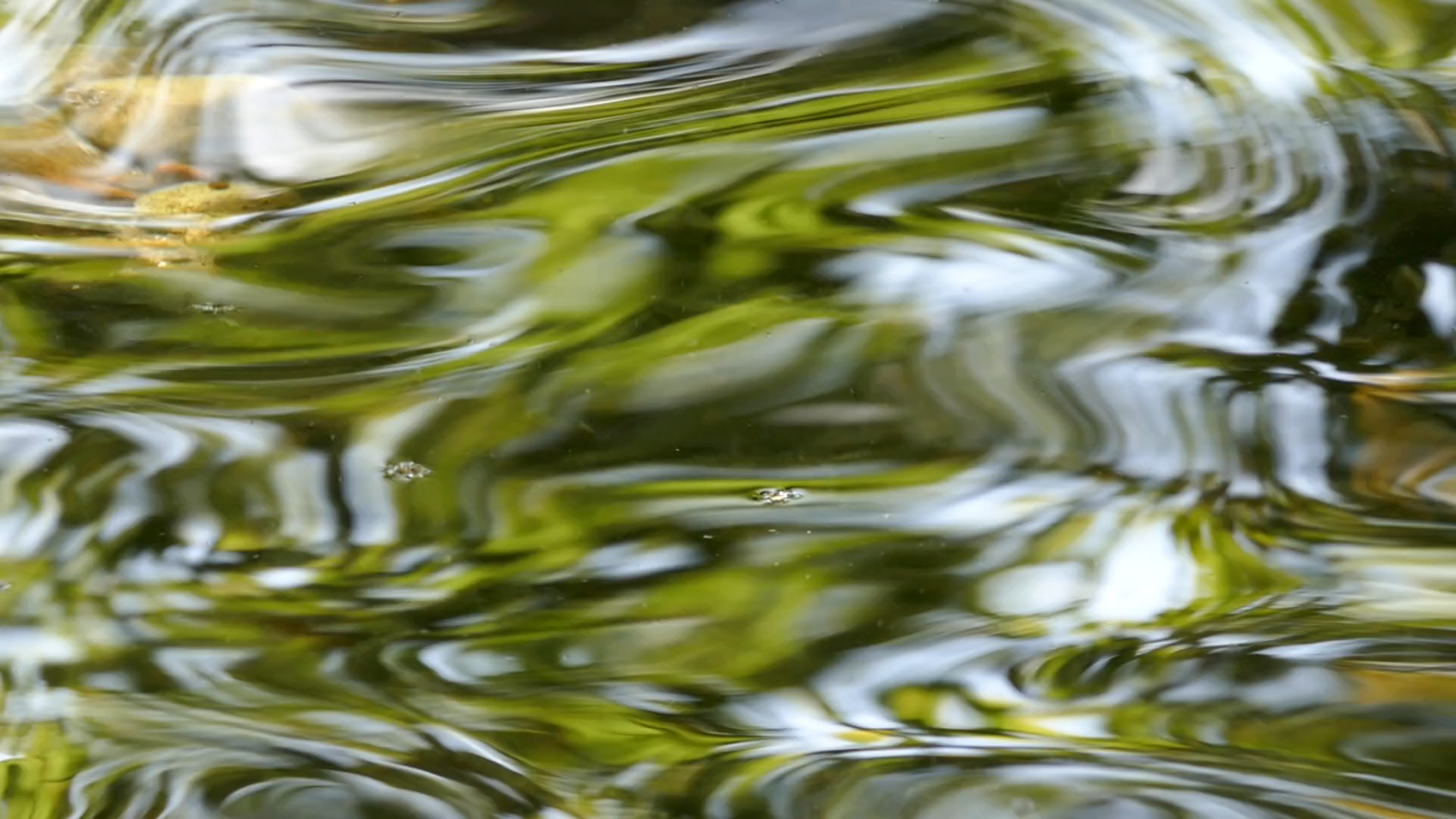 2023-08-19 und -20 Licht und Wasser am Stechlin (Fieldrecording Video)