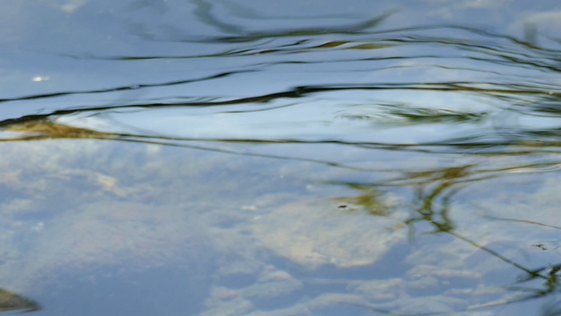 2023-08-19 und -20 Licht und Wasser am Stechlin (Fieldrecording Video)